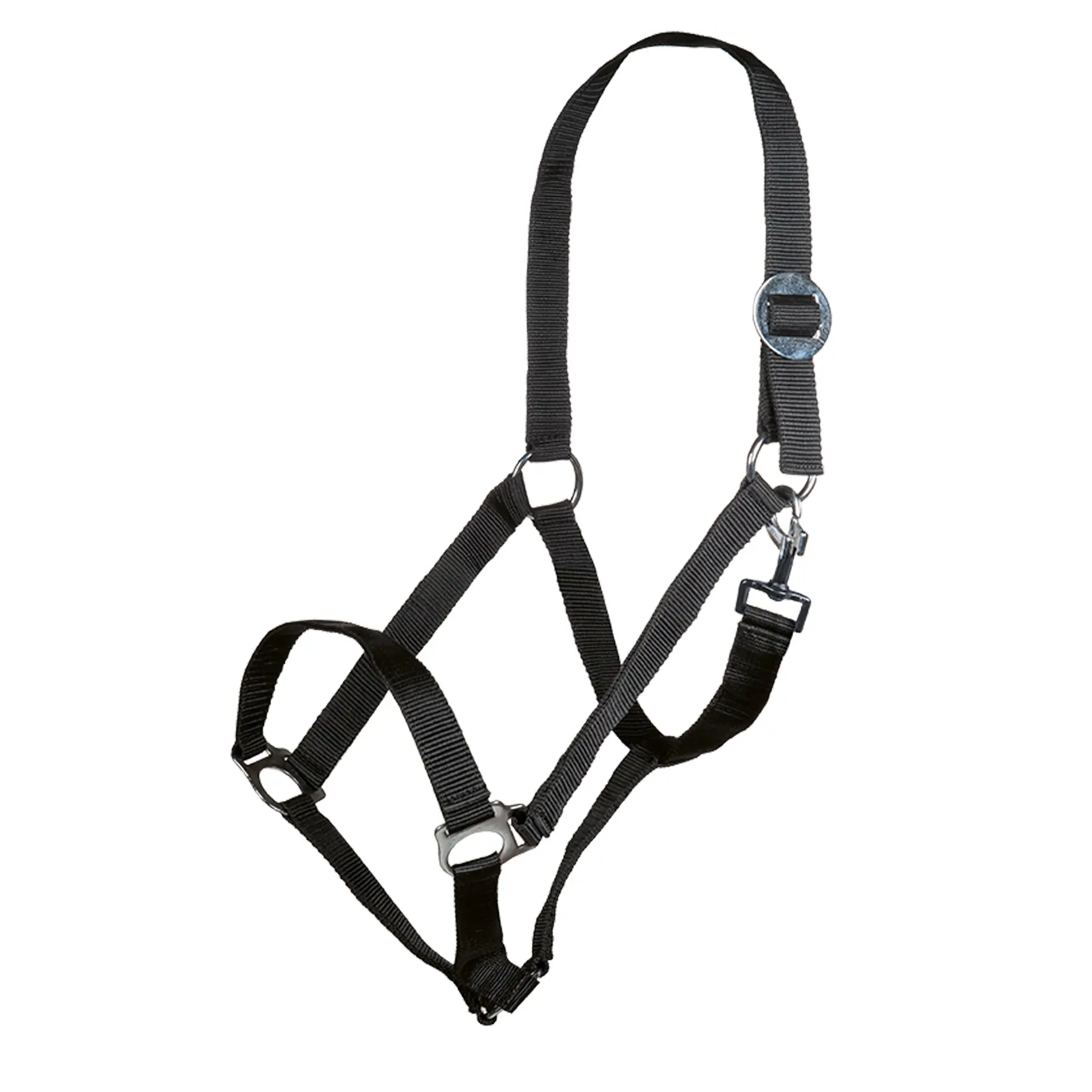 Halter for horse HKM Stars Economy