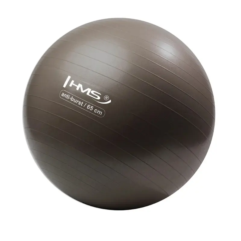 Yb02 Nuovo Pallone Da Ginnastica Anti-scoppio Da 65 Cm Hms