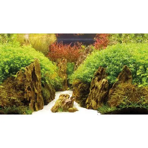 Poster 2 Seiten Hobby Canyon/Woodland