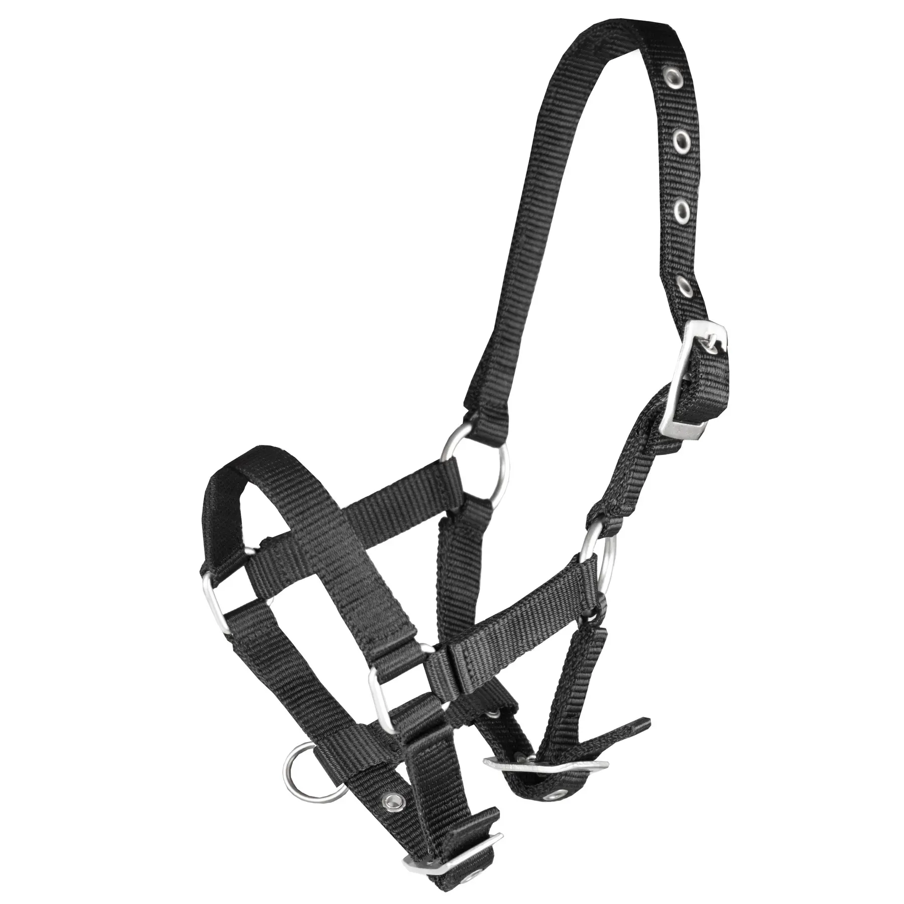 Foal headcollar HORKA