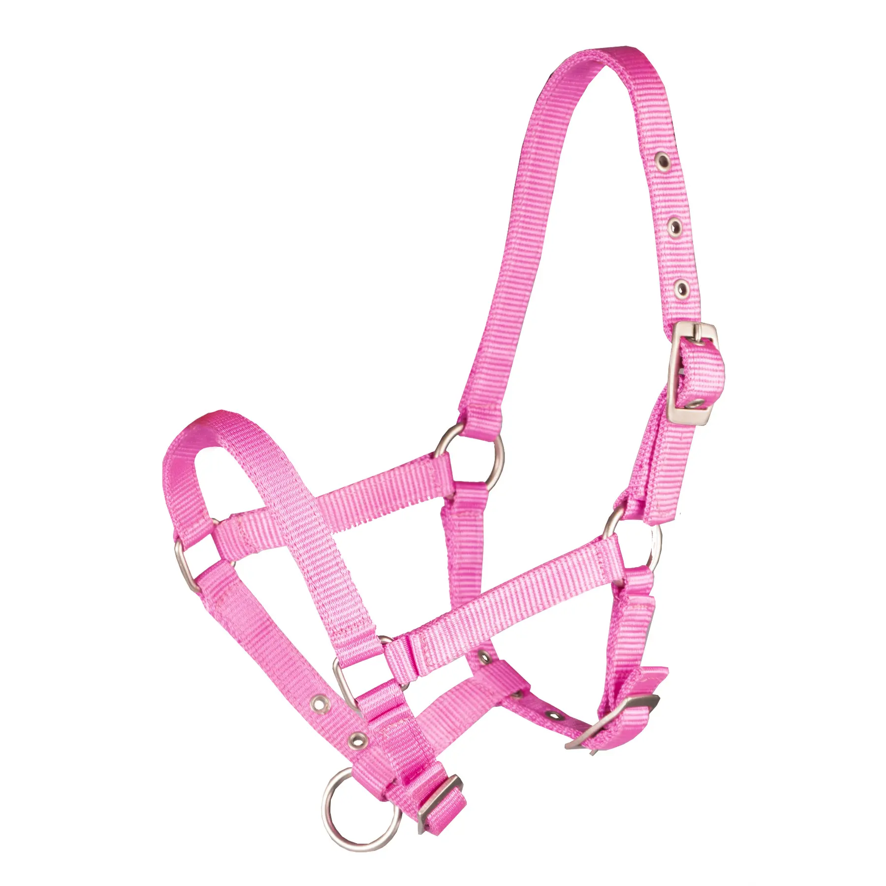 Foal headcollar HORKA