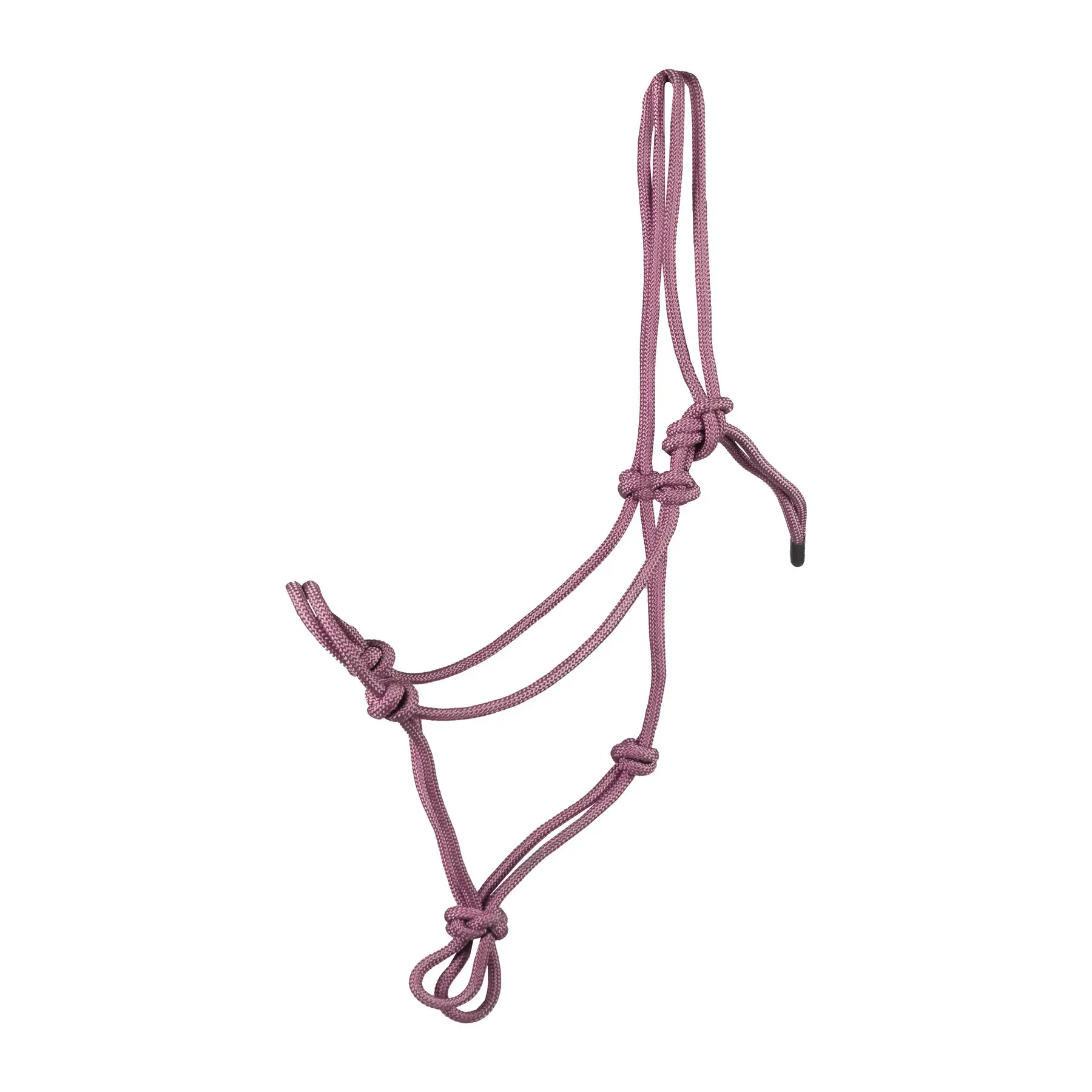 Basic natural halter for horse HORKA