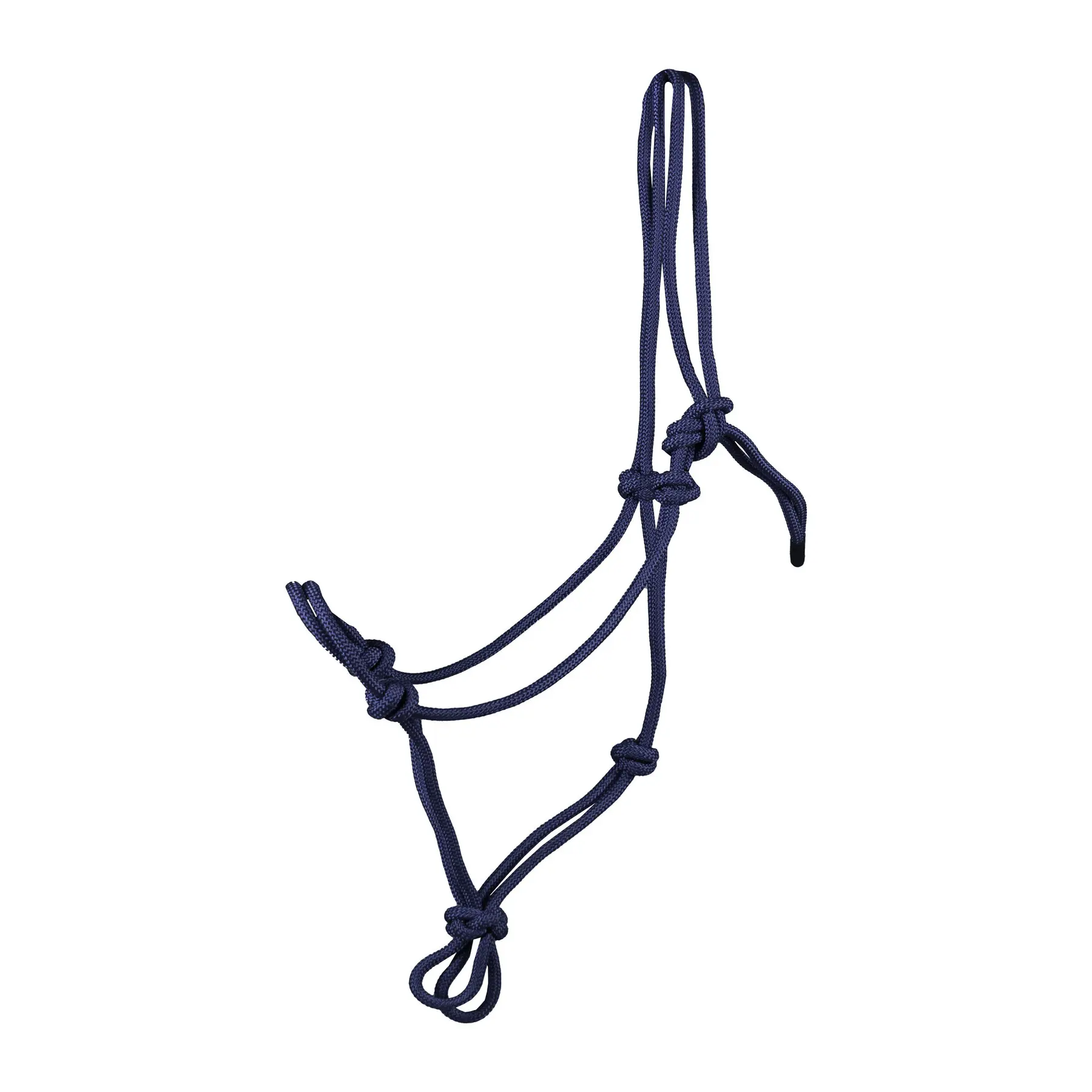 Competition training halter for horse HORKA Basic