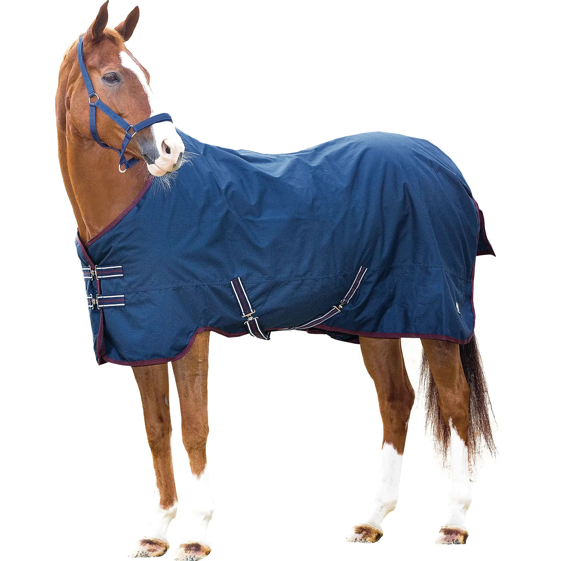 Outdoor horse blanket HorseGuard 600D 400 g