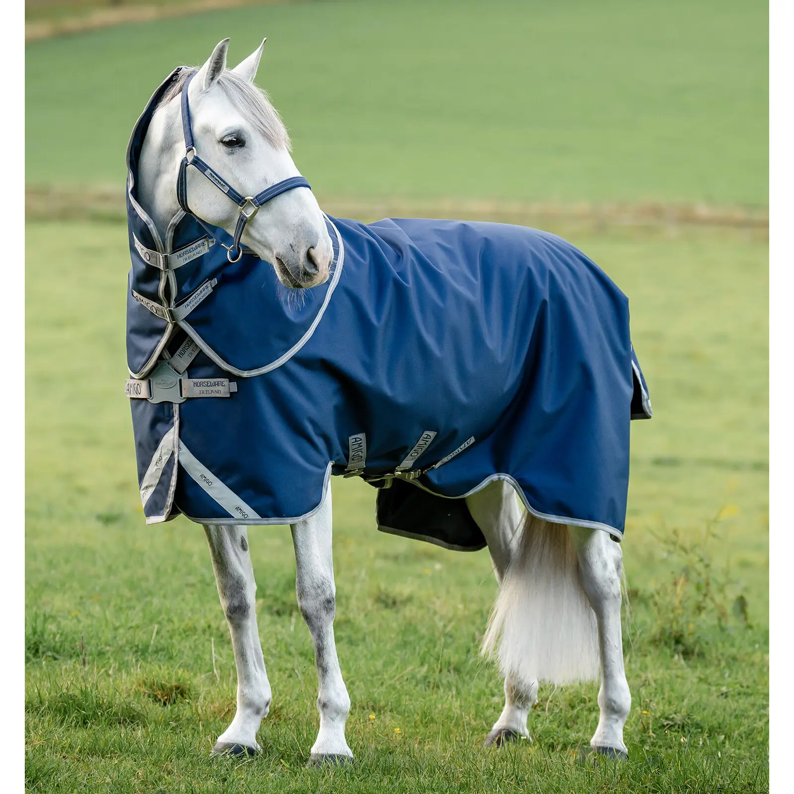 Amigo 1200D FieldSafe Plus 100g Outdoor Blanket Horseware