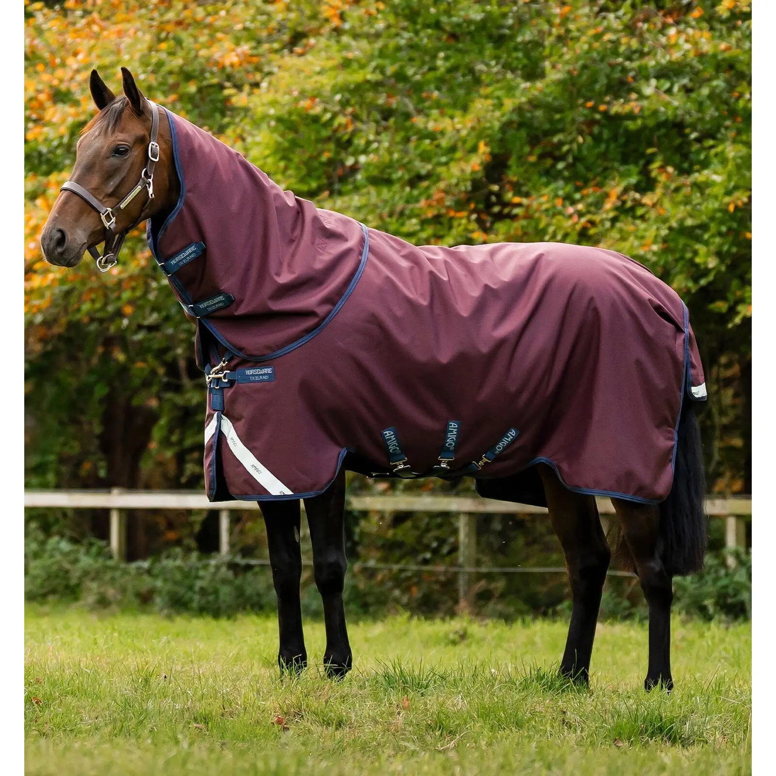 Coperta da paddock per cavalli Horseware Amigo 1200D Plus 0g