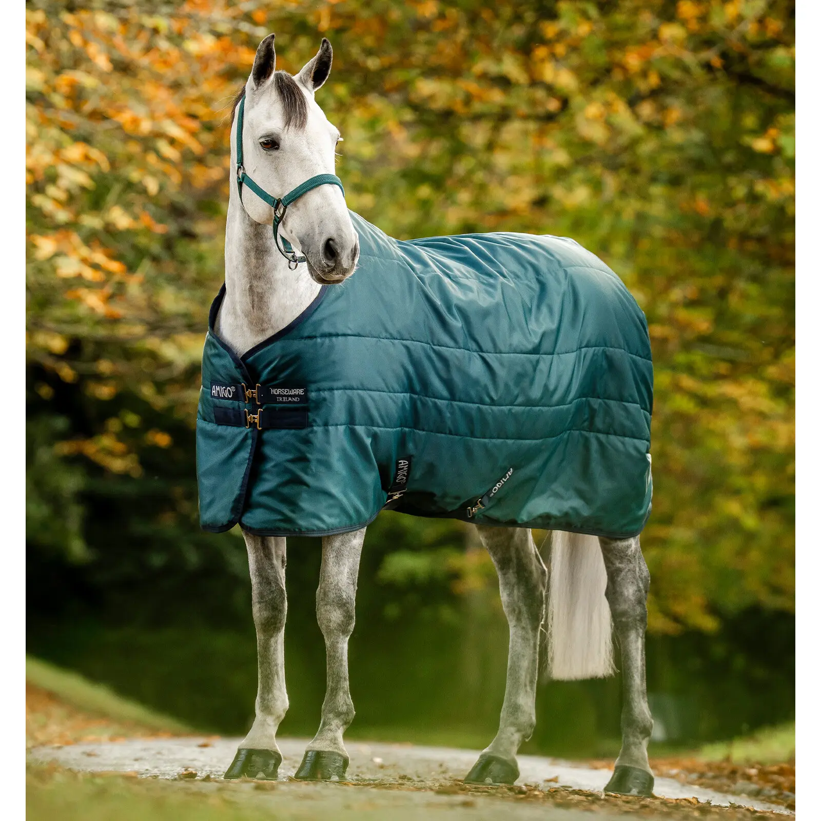Amigo Insulator 200g Horse Stable Blanket Horseware