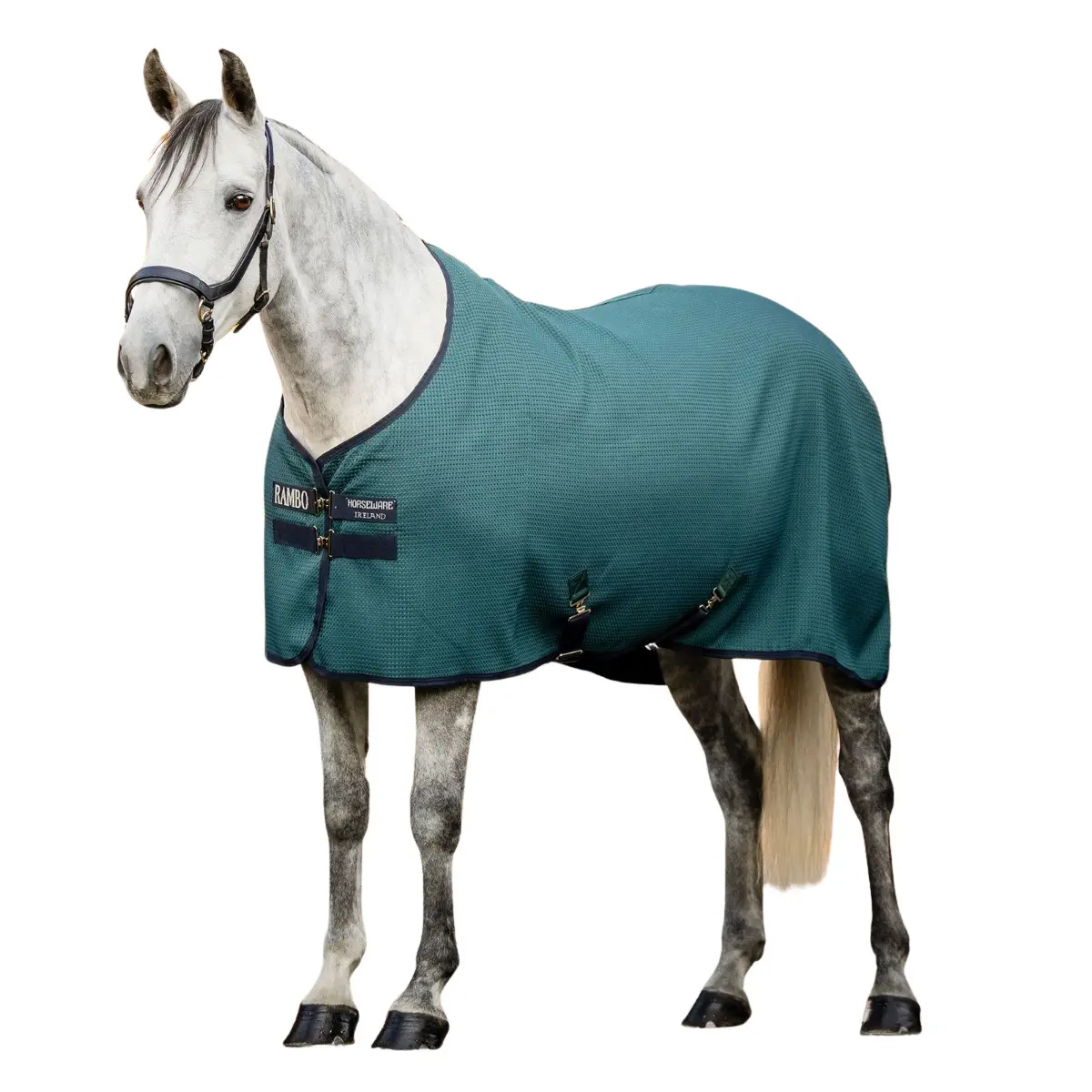 Trocknende Decke für Pferde Horseware Rambo