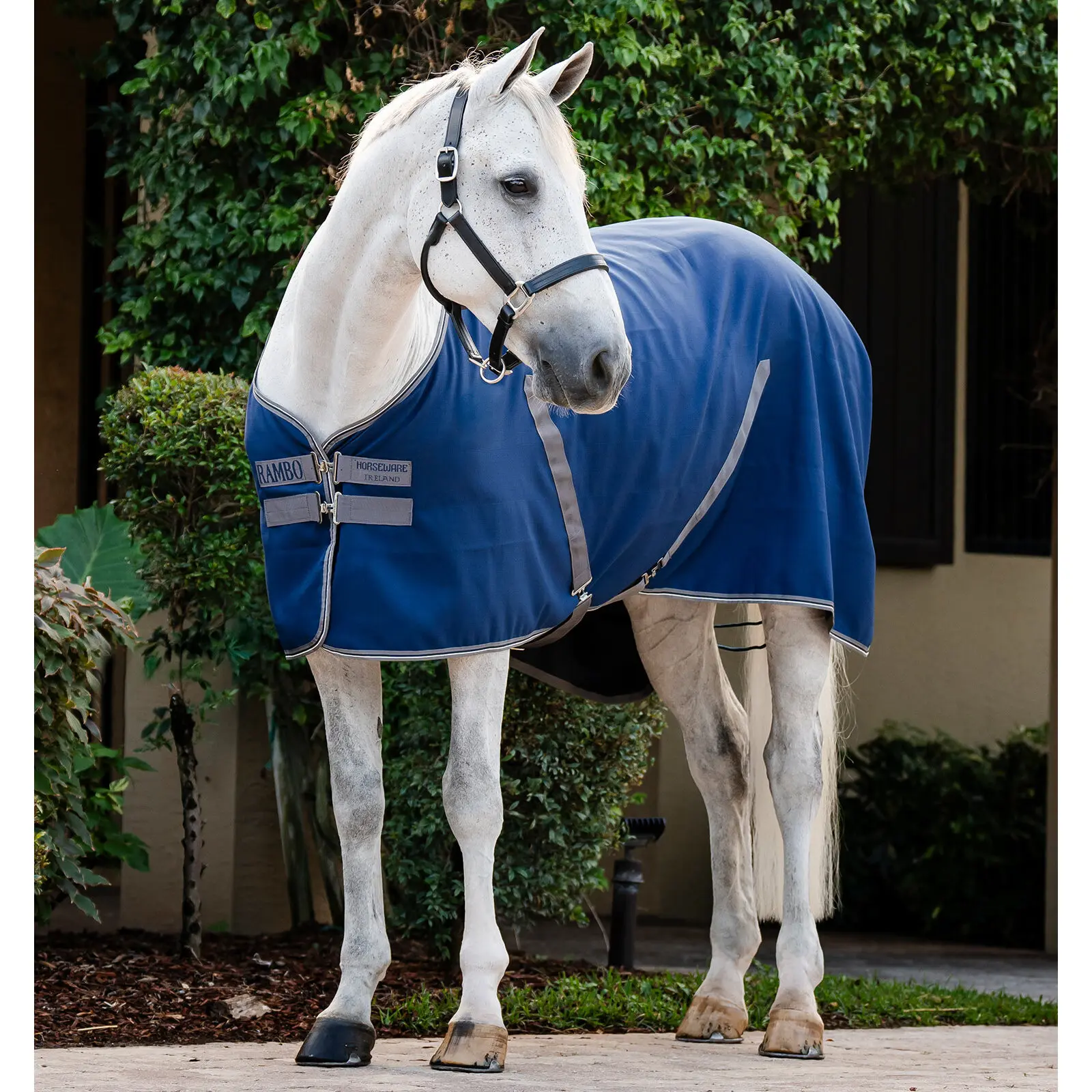 Chemise d'equilibrio per cavallo Rambo Stable Sheet Horseware