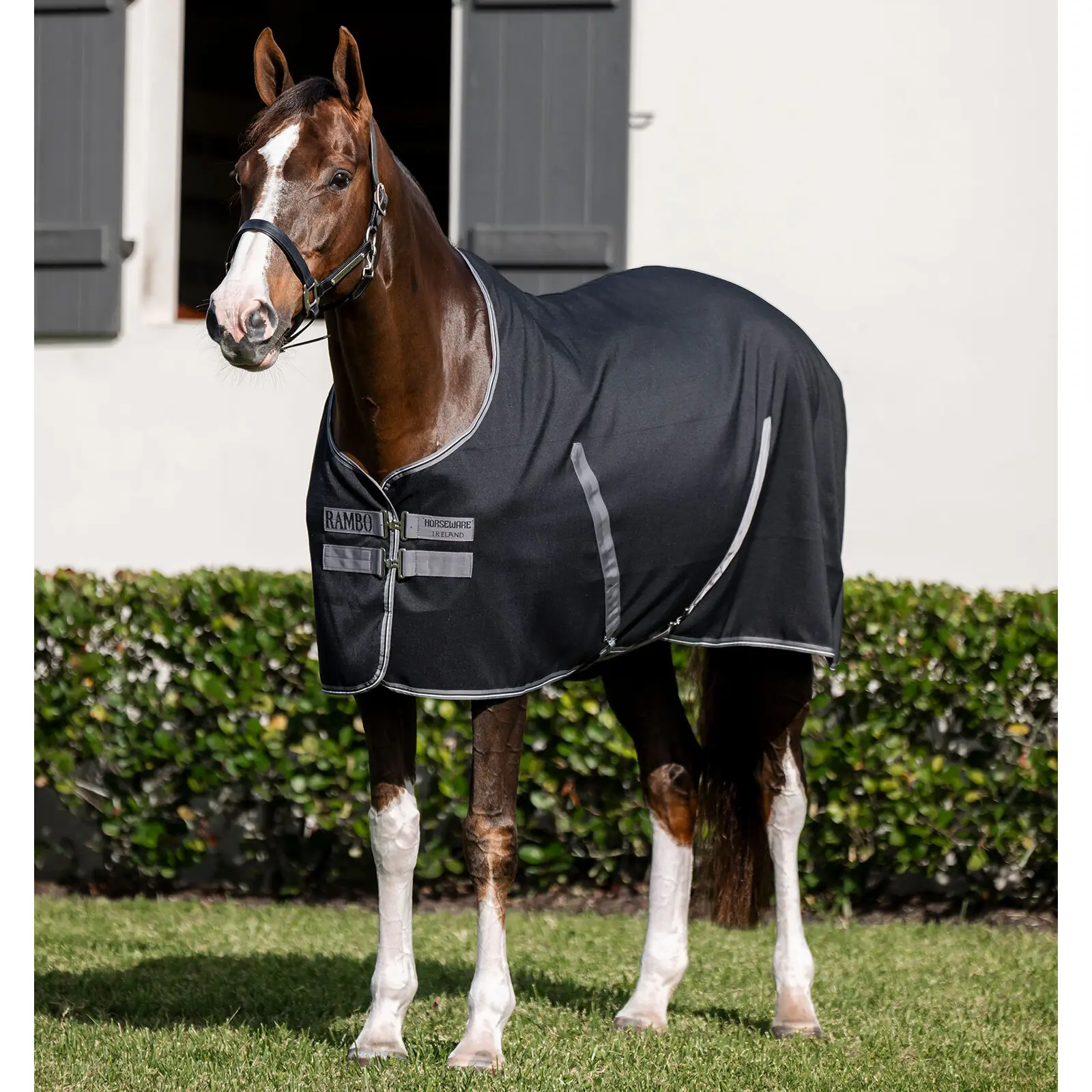 Chemise d'equilibrio per cavallo Rambo Stable Sheet Horseware