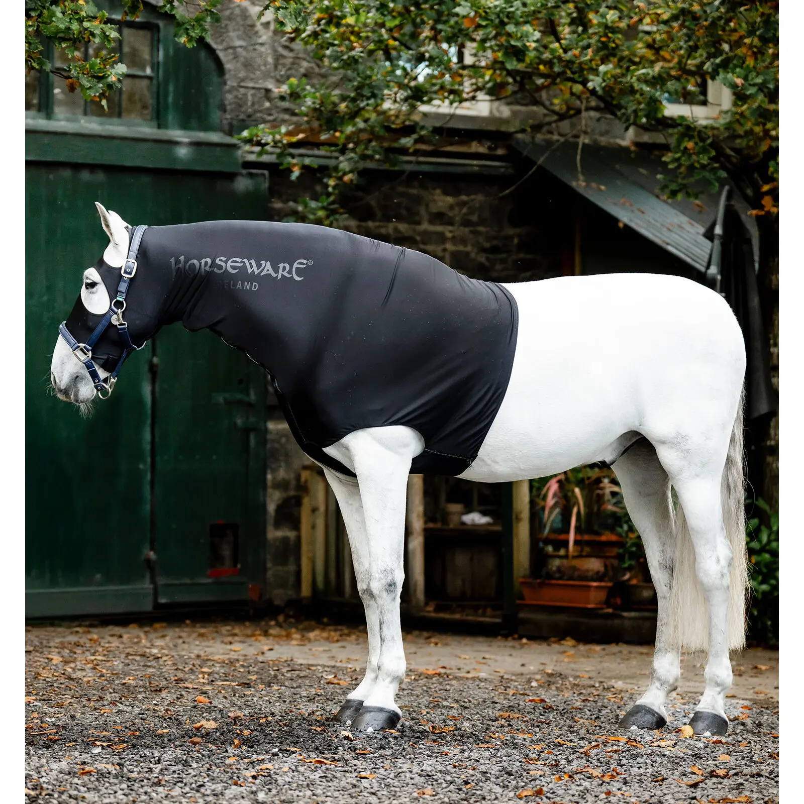 Coperta per cavalli Horseware