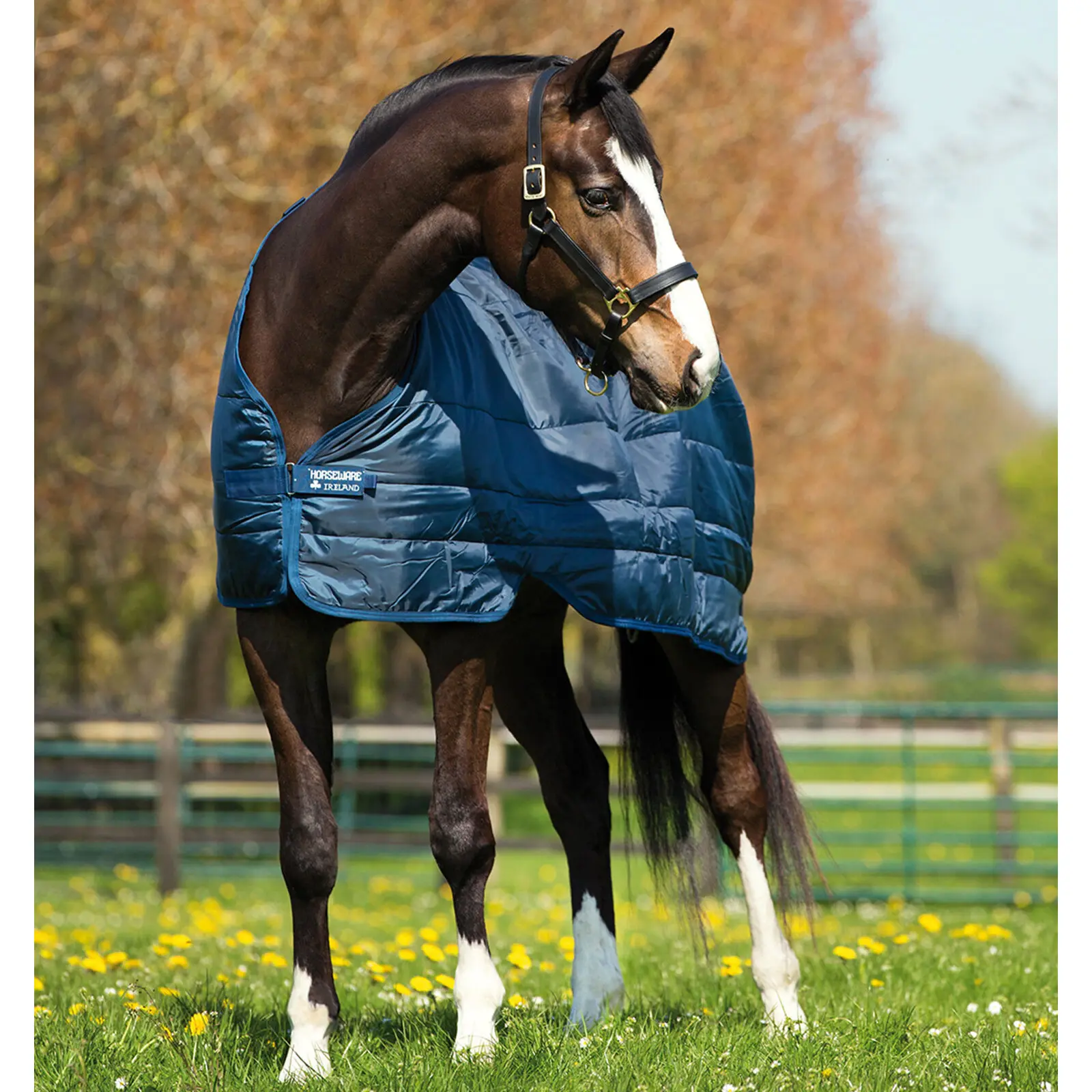 Coperta per cavalli Horseware 50g