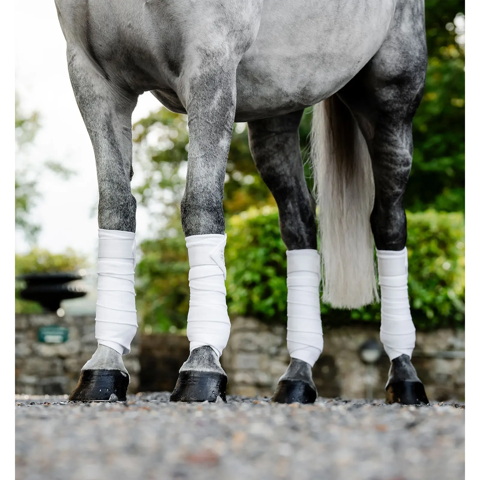 Polo strips for horses Horseware