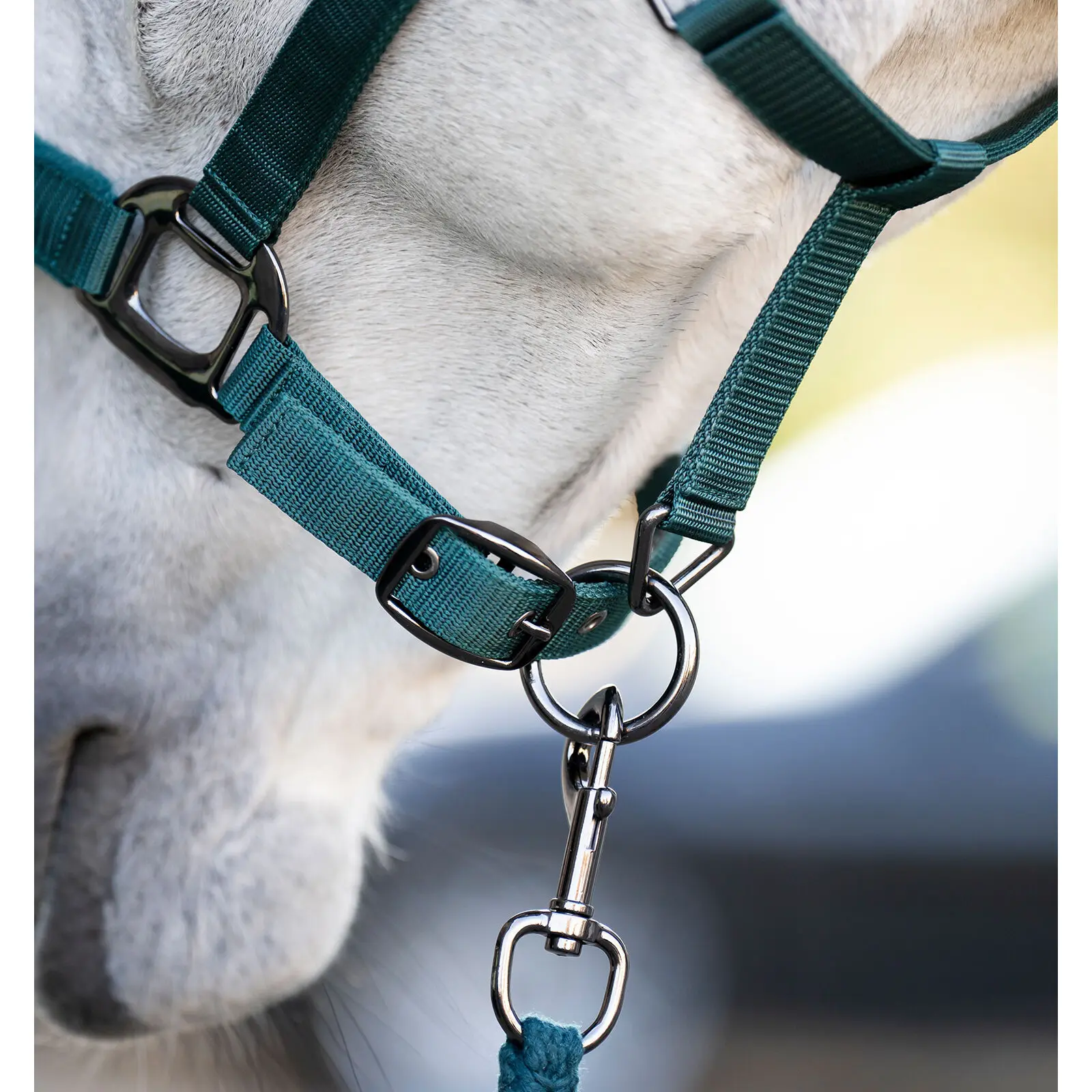 Nylon horse halter Horseware