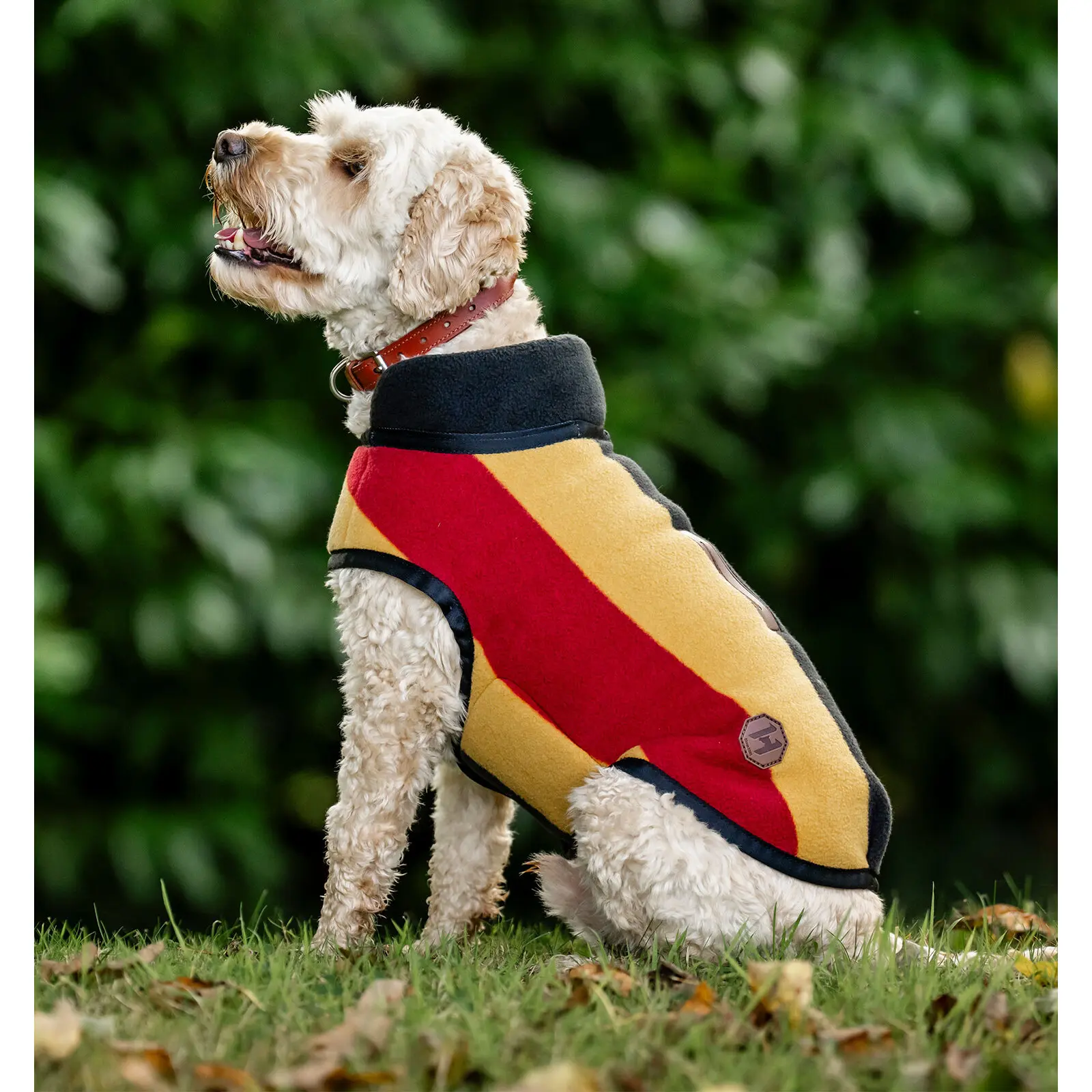 Hundemantel Horseware Newmarket