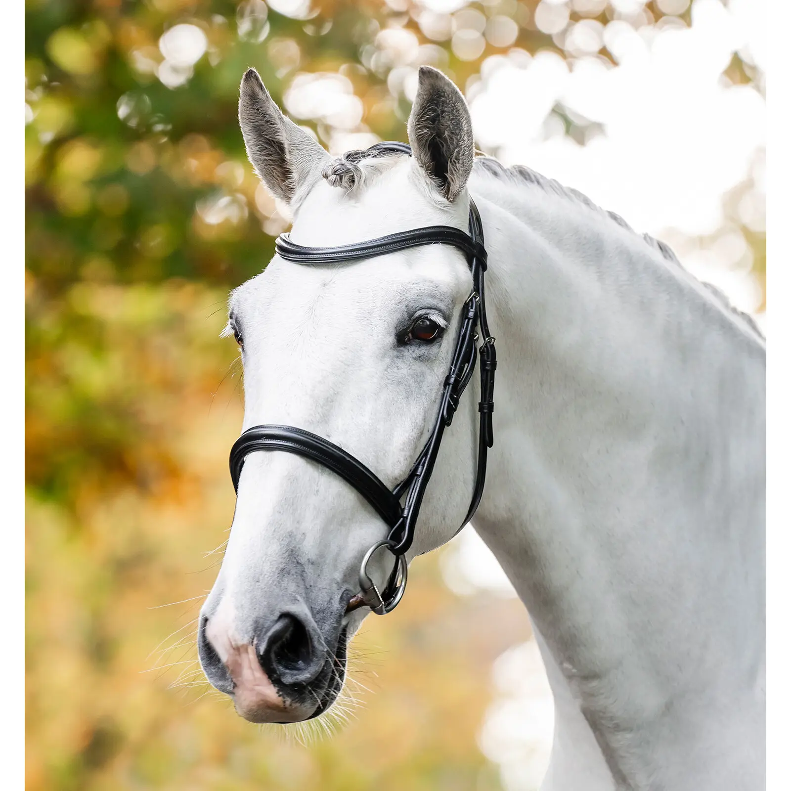 Riding bridle Horseware