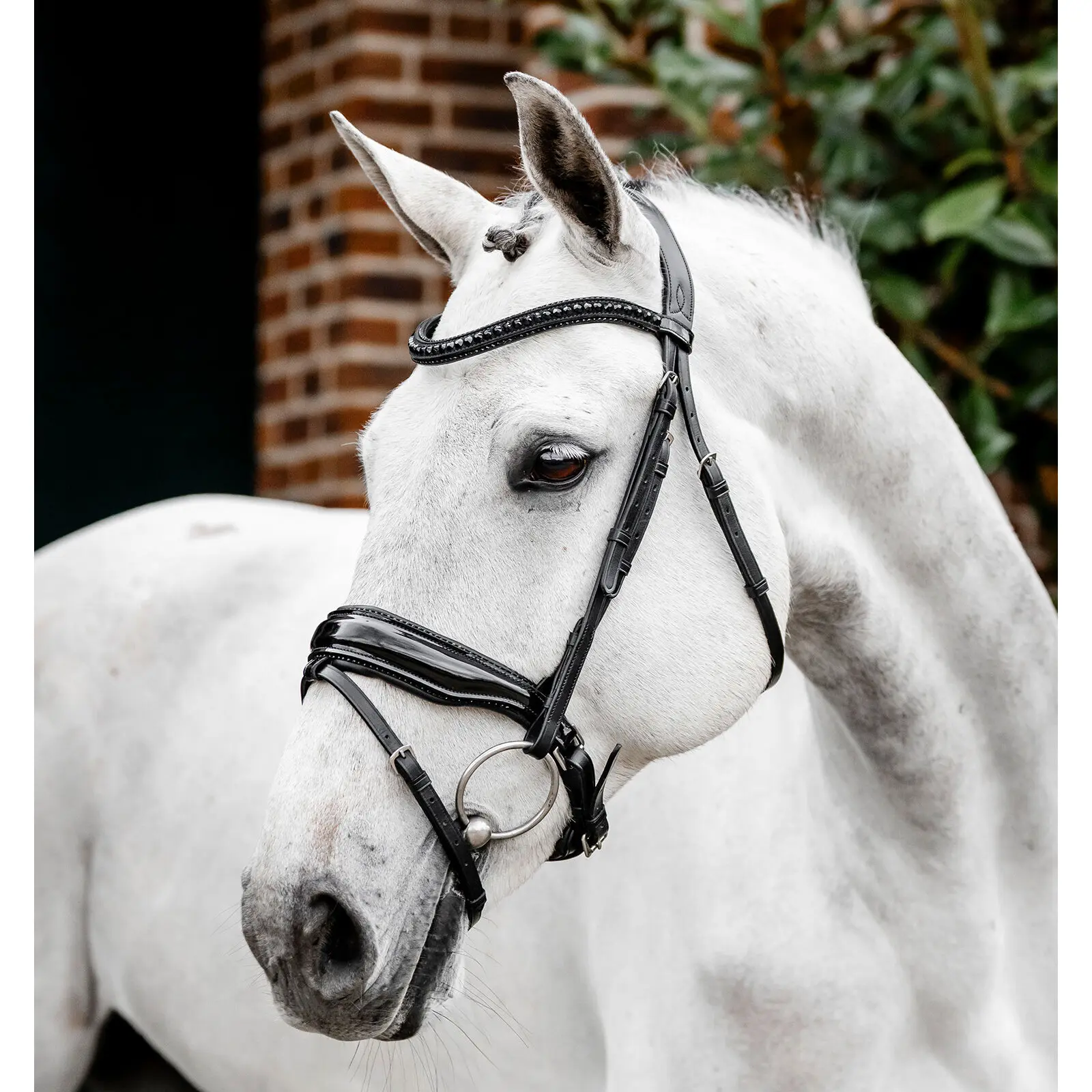 Riding bridle Horseware Diamante Flash