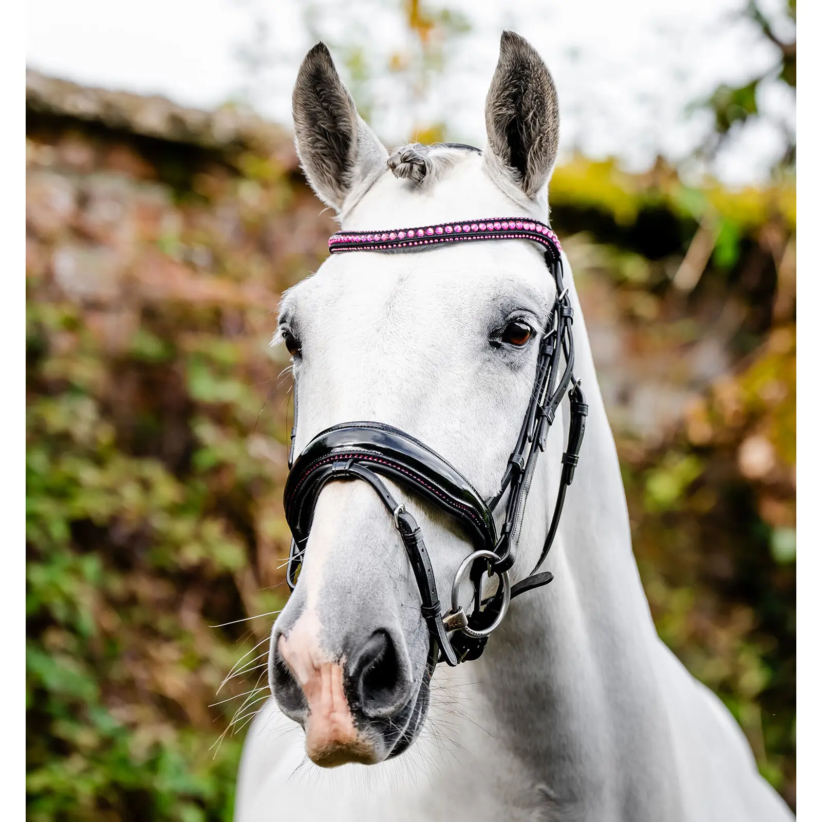 Bride équitation Horseware Diamante Flash
