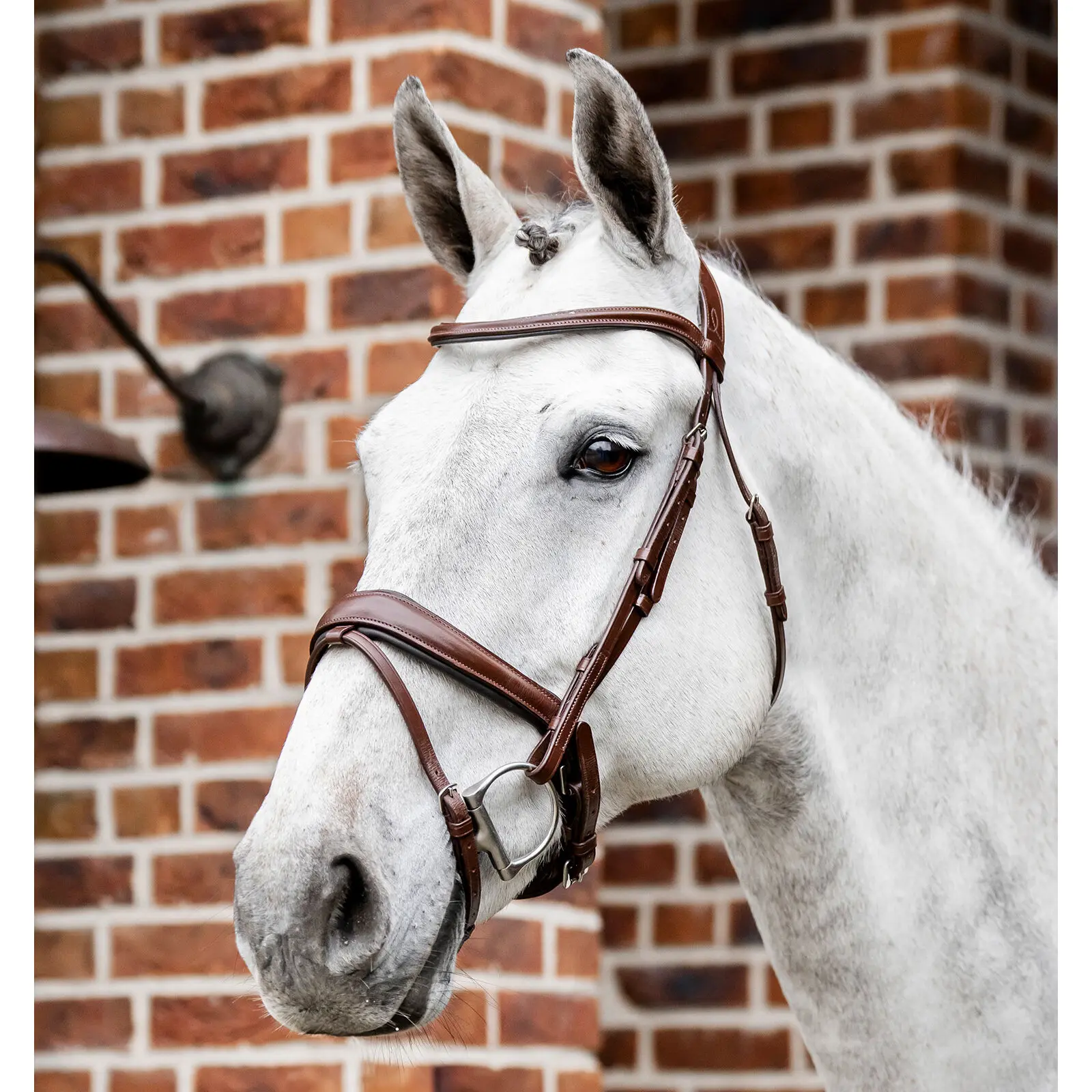Riding bridle Horseware Dressage Flash