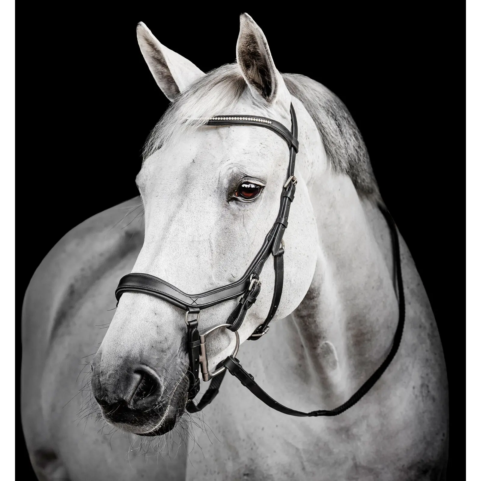 Riding bridle Horseware Micklem Diamante