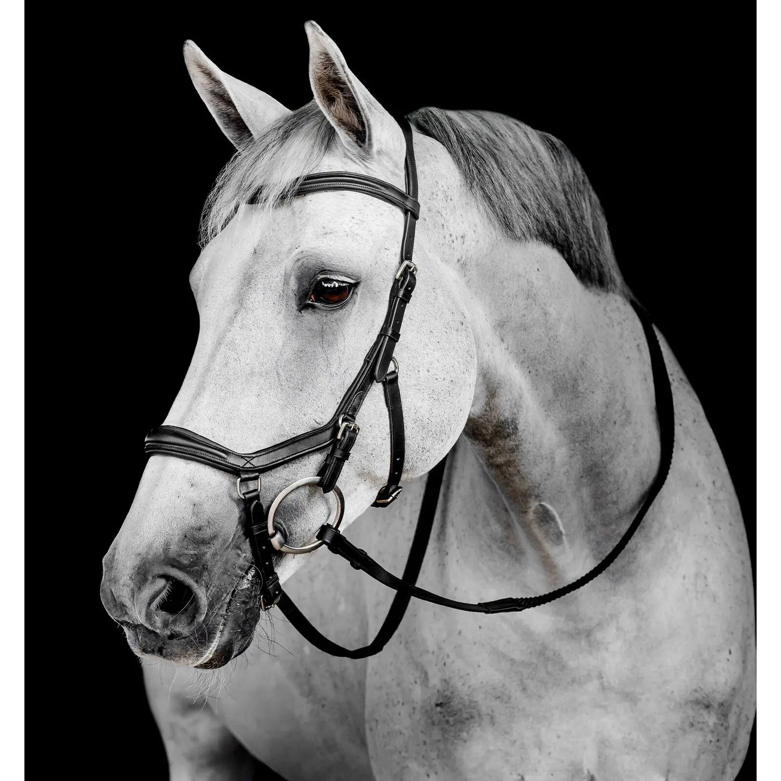 Riding bridle Horseware Micklem Deluxe