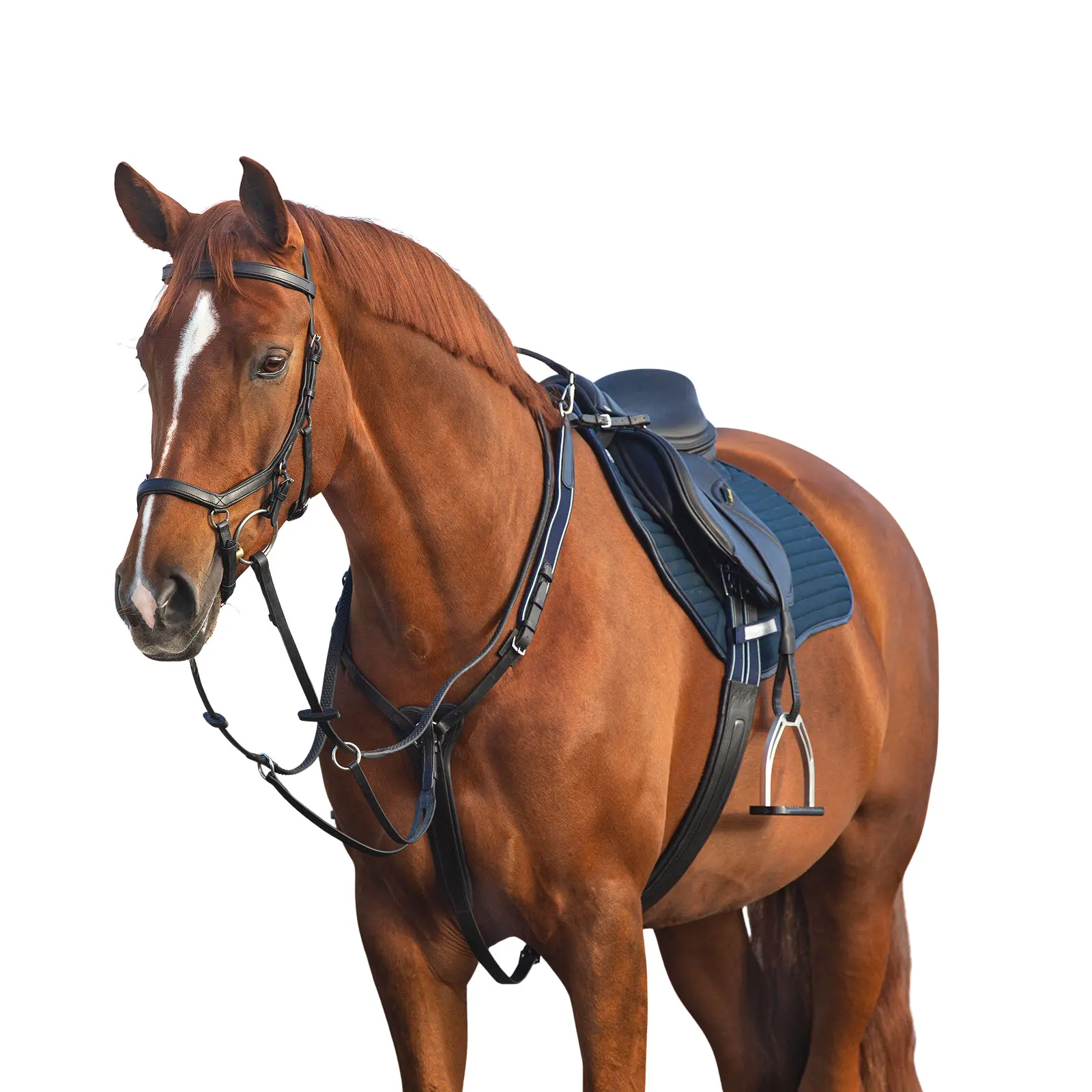 Breastplate with martingale Horseware Micklem