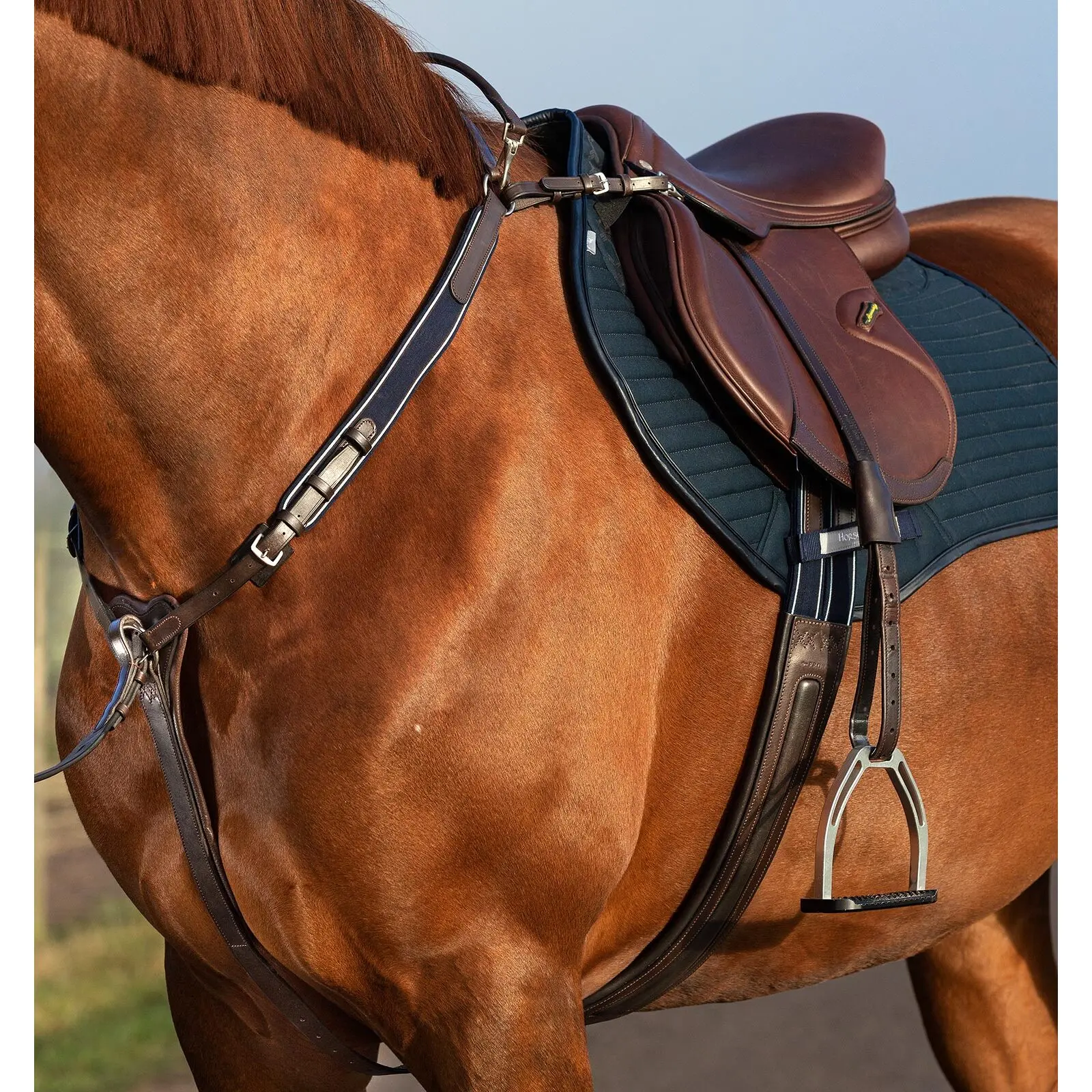 Jagdhalsband für Pferde Horseware Micklem