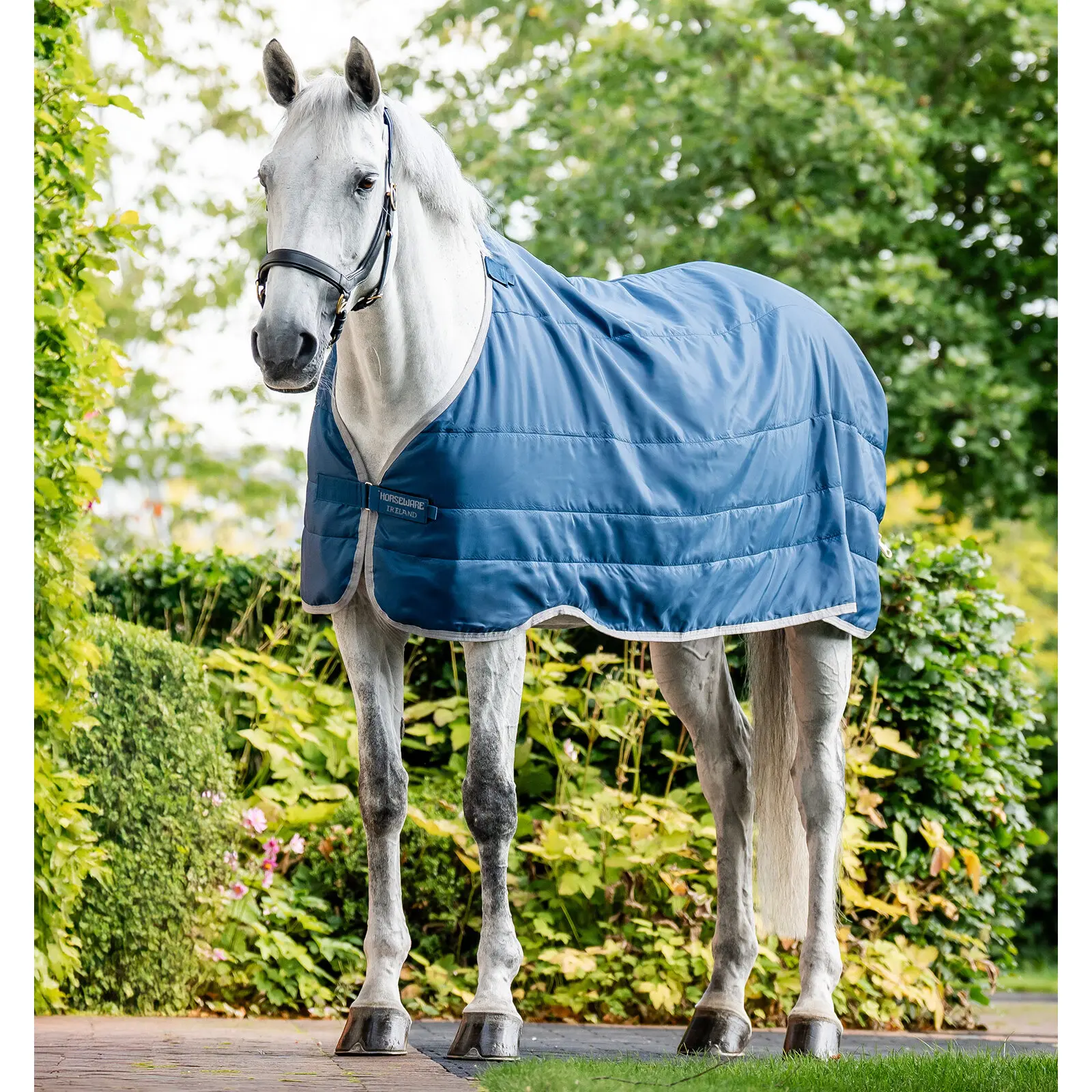 Coperta da paddock per cavalli Horseware Ionic Therapy 200g