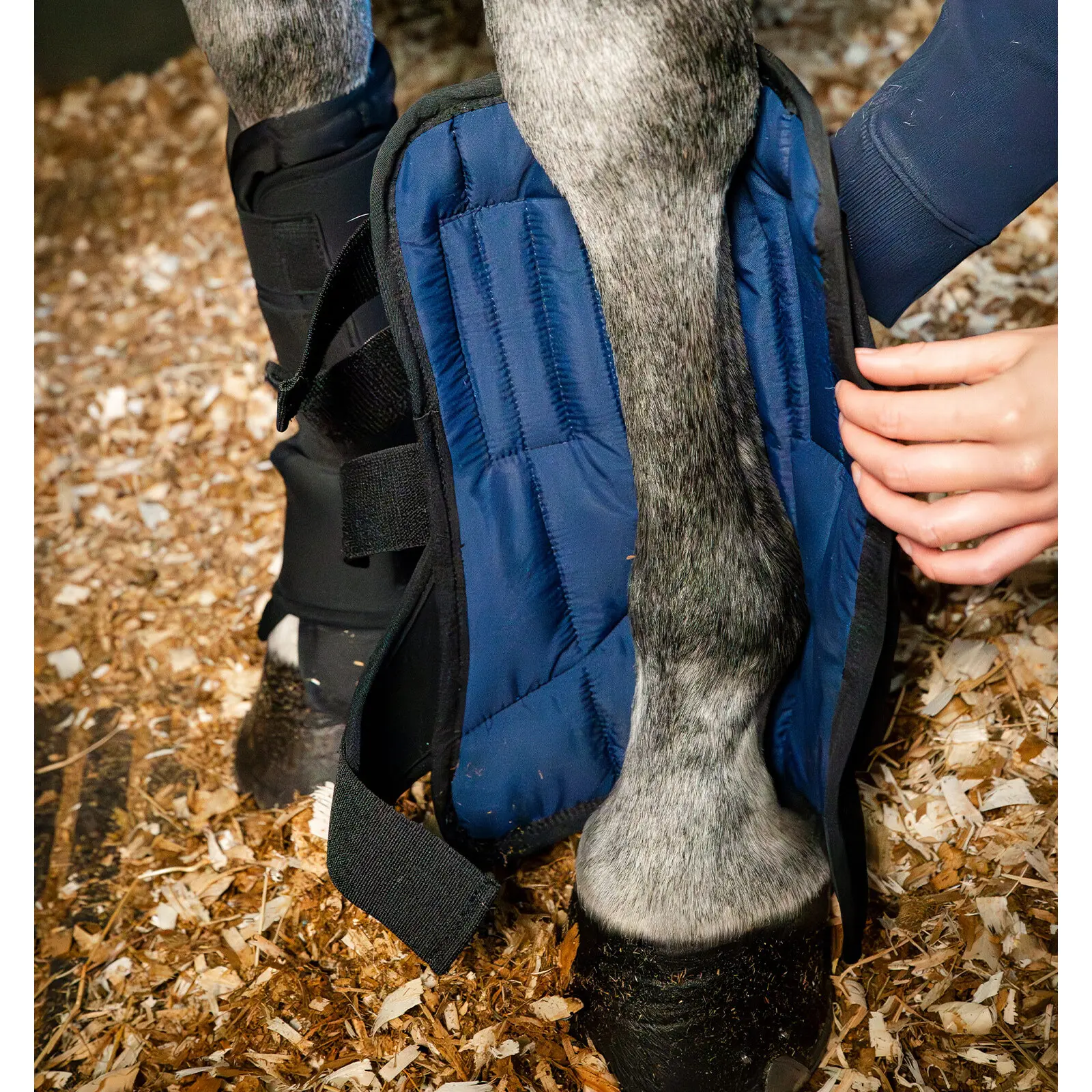 Ghette da cavallo chiusi Horseware