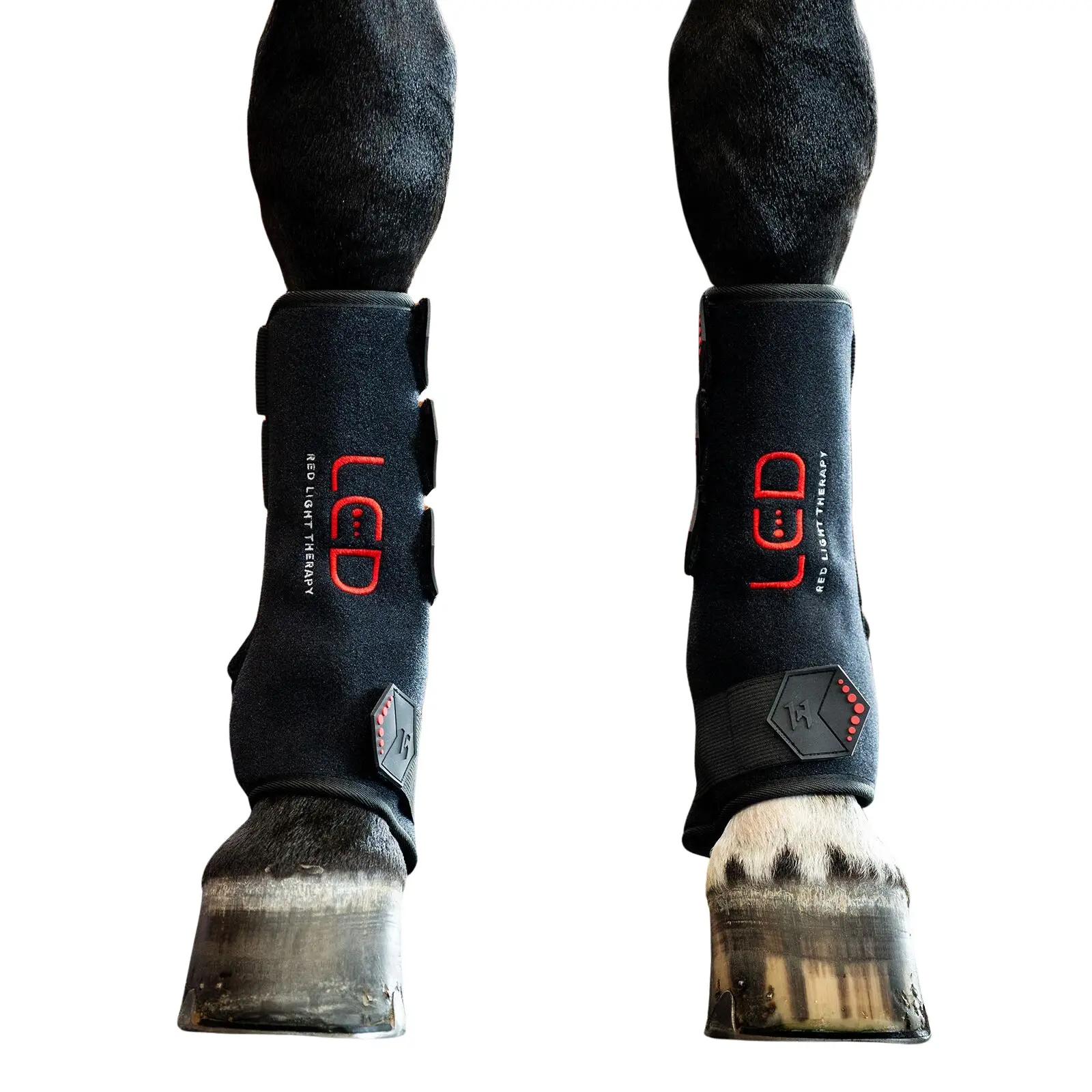 Ghette per cavallo chiuse con fototerapia Horseware LED