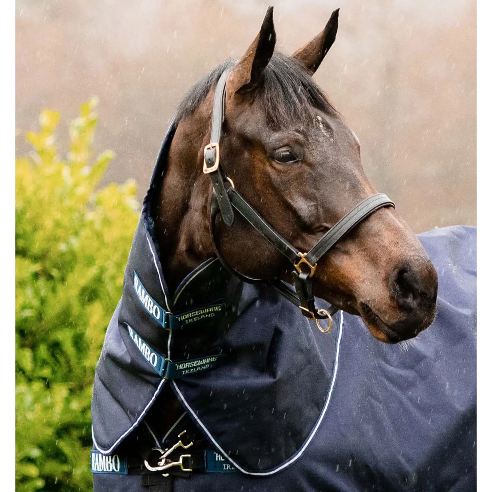 Horse neck cover Horseware Rambo Duo Force 100g
