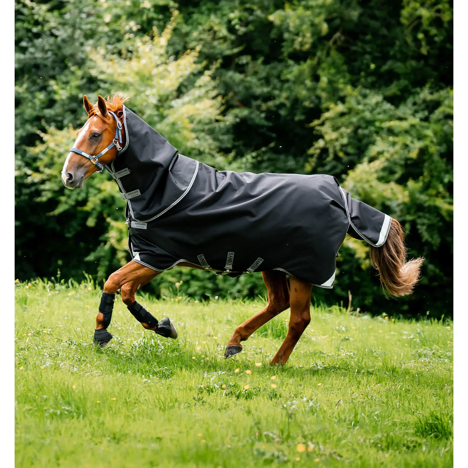 Wasserdichte Outdoor-Decke für Pferde Horseware Rambo 1680D Plus Turnout VL 450g