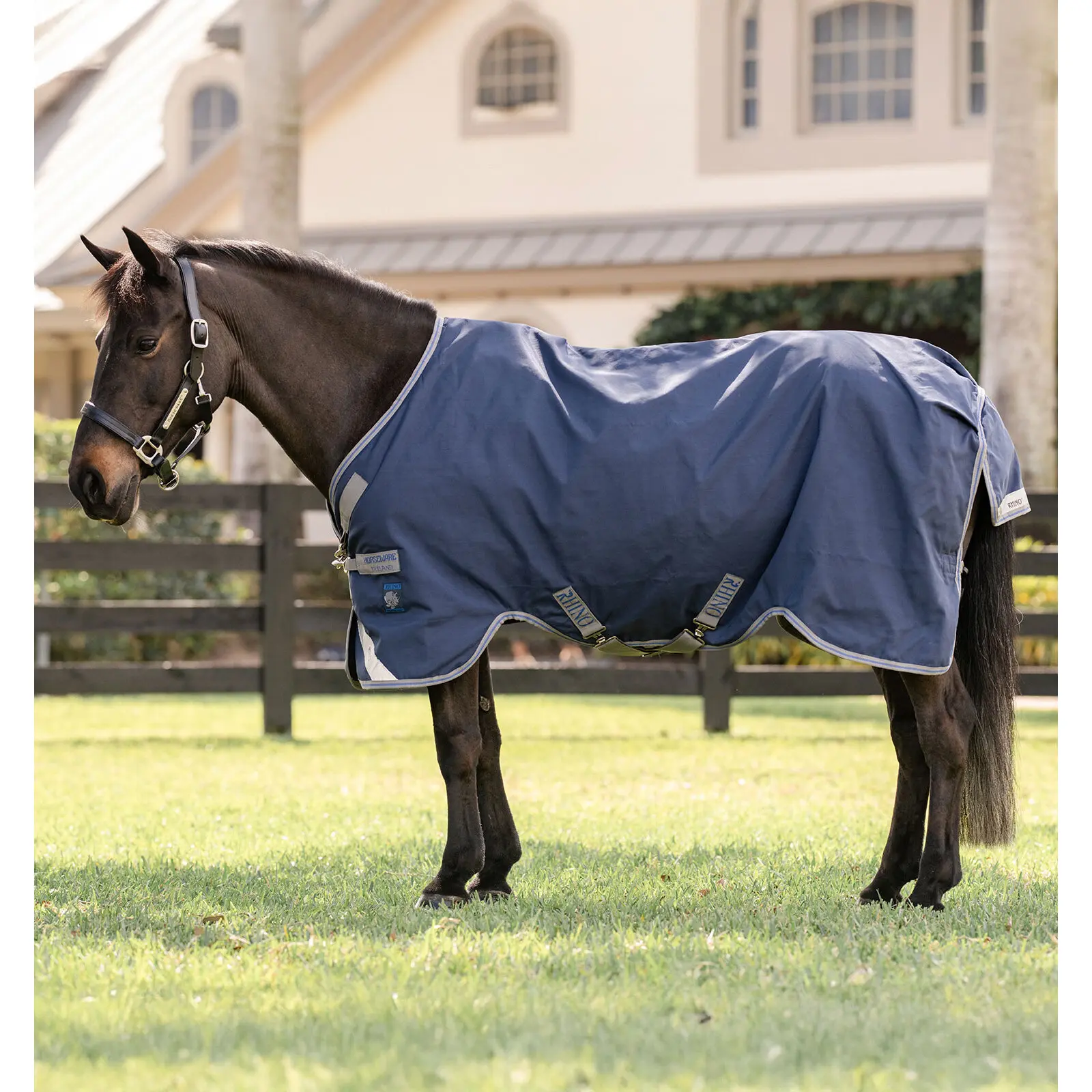Coperta per pony da esterno Horseware Rhino 100g