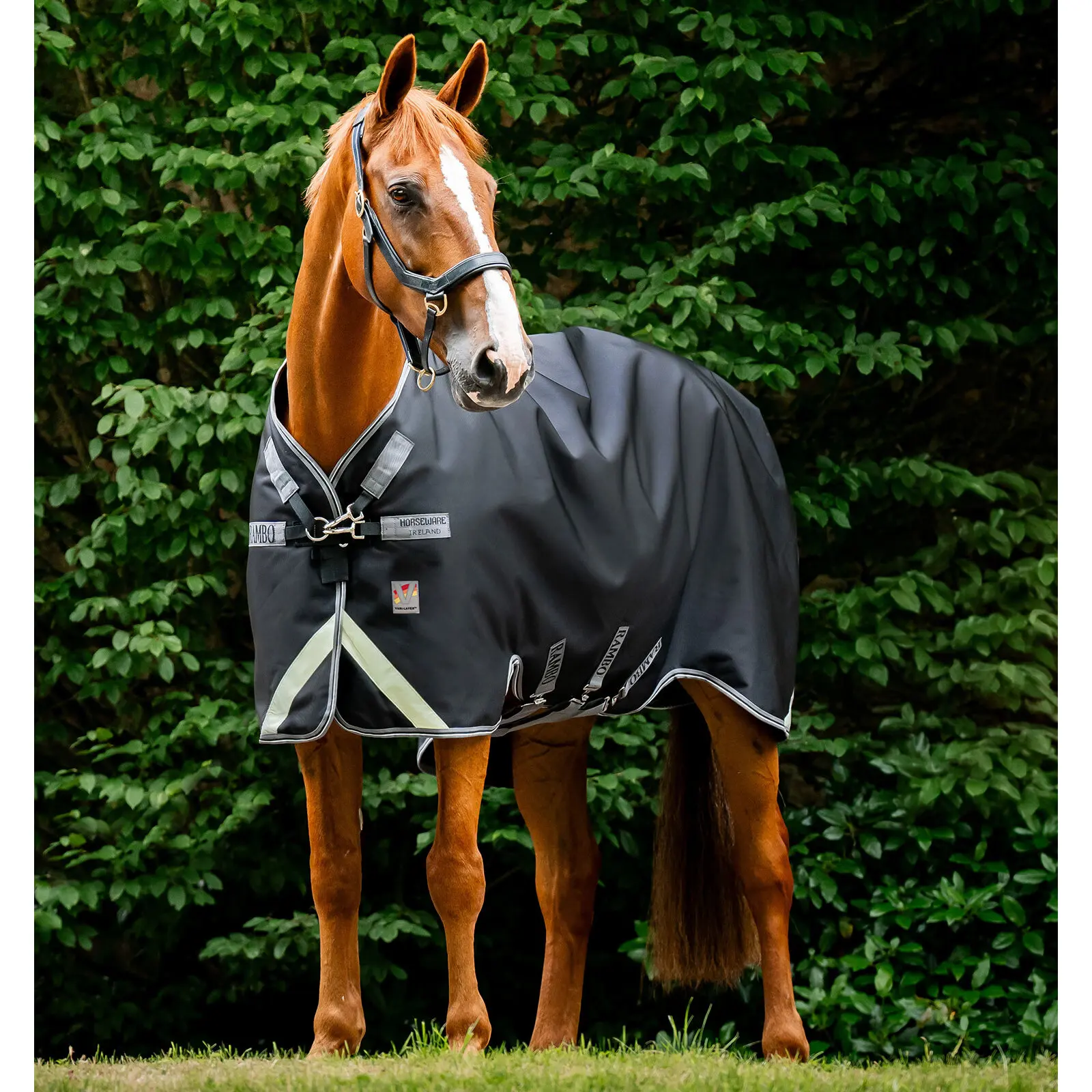 Outdoor-Decke für Pferde Horseware Rambo 1680D 450g