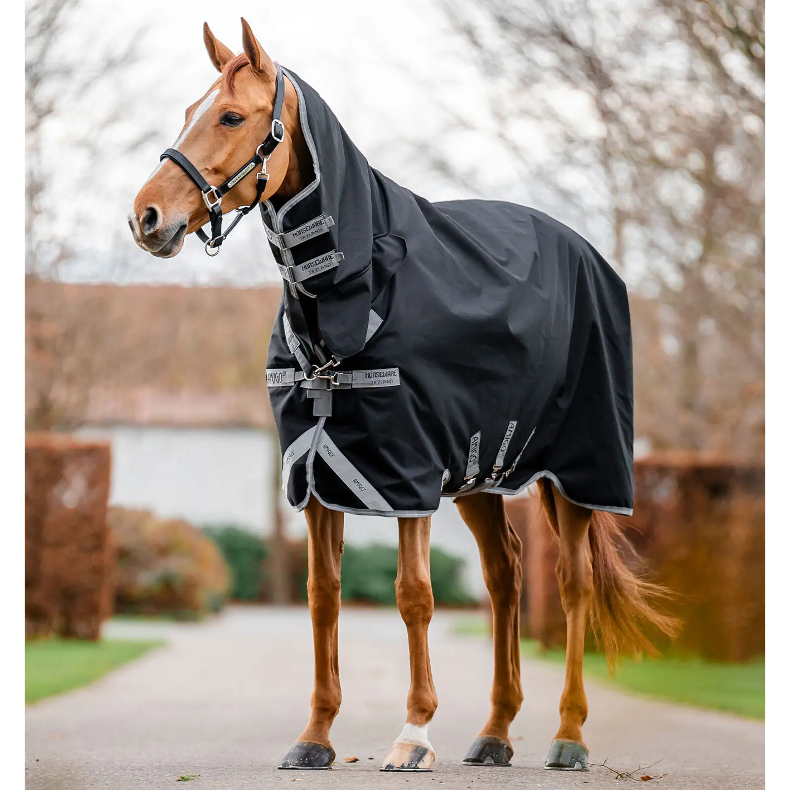 Outdoor-Decke für Pferde mit Halsabdeckung Horseware Amigo 1200D 0g