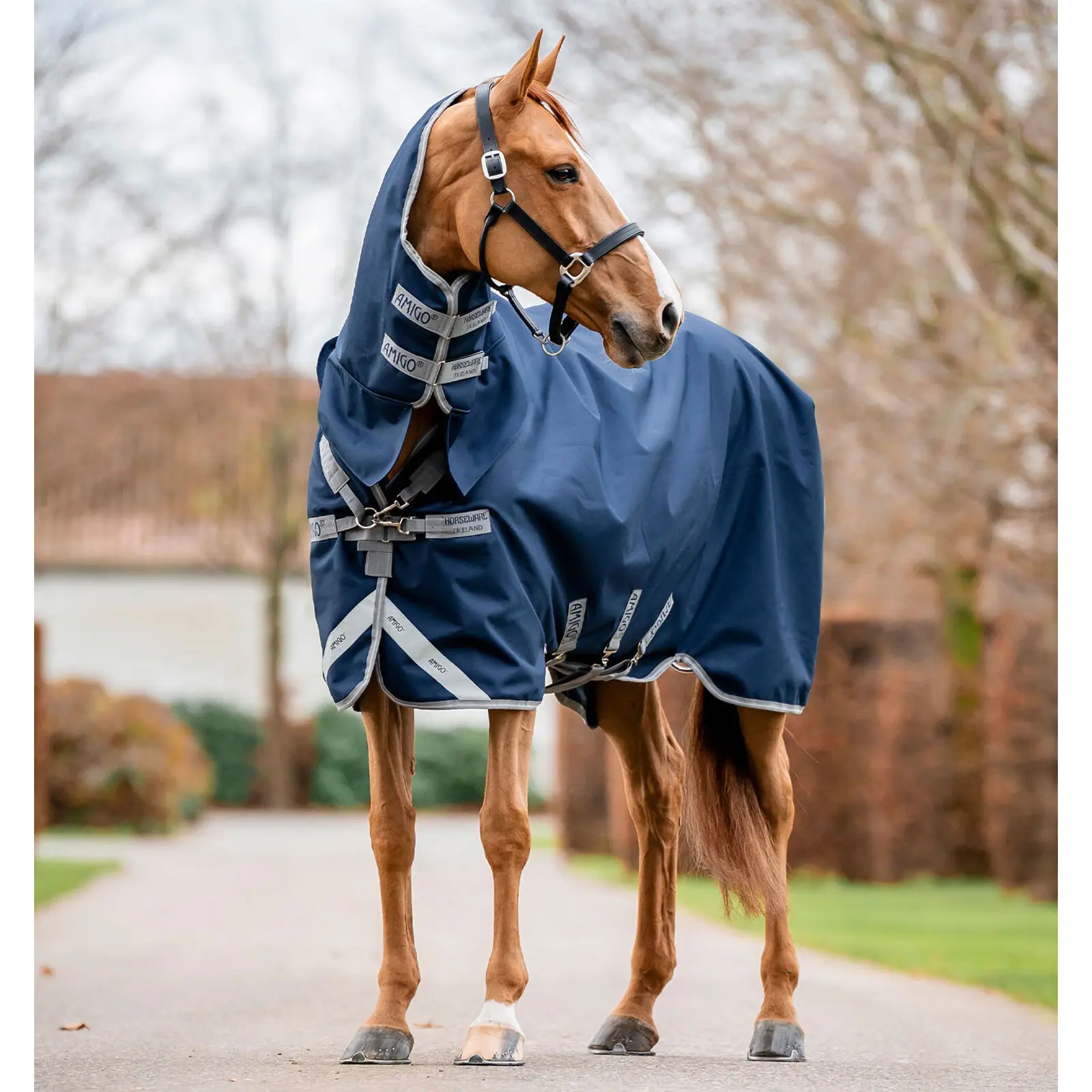 Coperta da paddock per cavalli con copricollo Horseware Amigo 1200D 50g