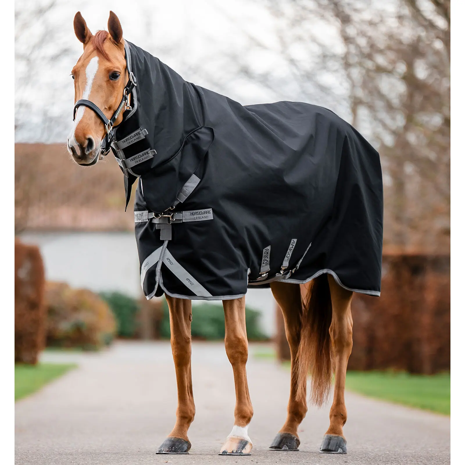 Coperta da paddock per cavalli con copricollo Horseware Amigo 1200D 50g