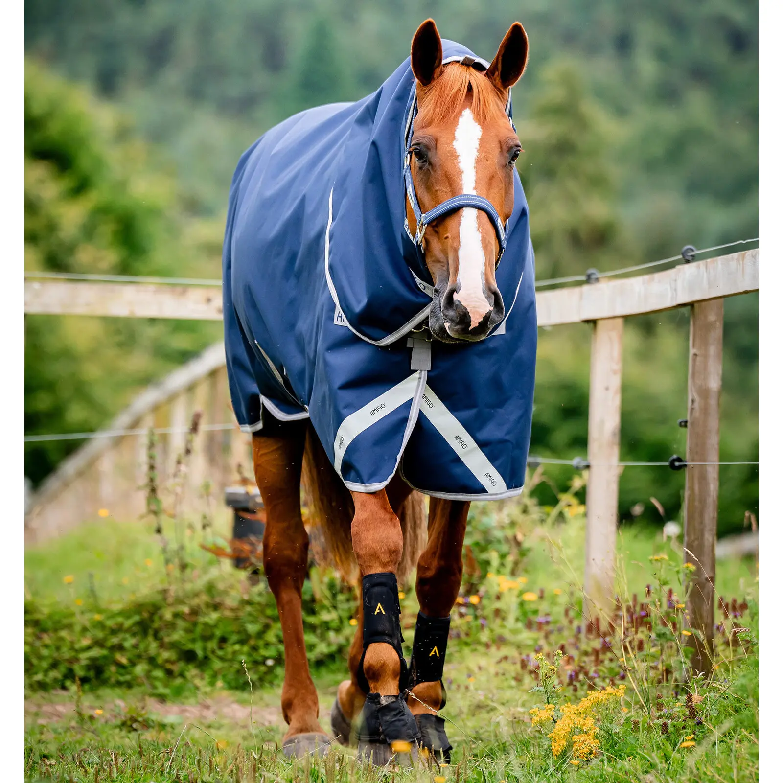 Outdoor  Blanket with neck cover Horseware Amigo 1200D Plus 50g