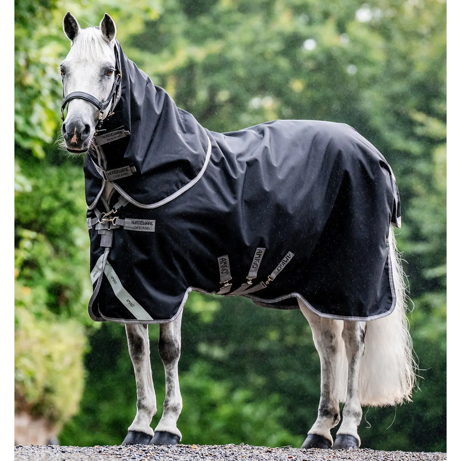 Coperta da paddock per cavalli con copricollo Horseware Amigo 1200D Plus 50g