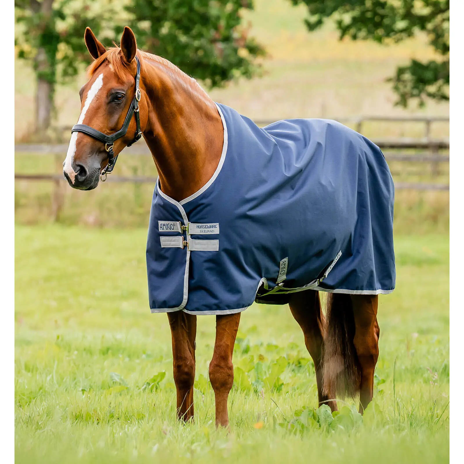 Coperta da paddock per cavalli Horseware Amigo Ripstop 900D Turnout 0g