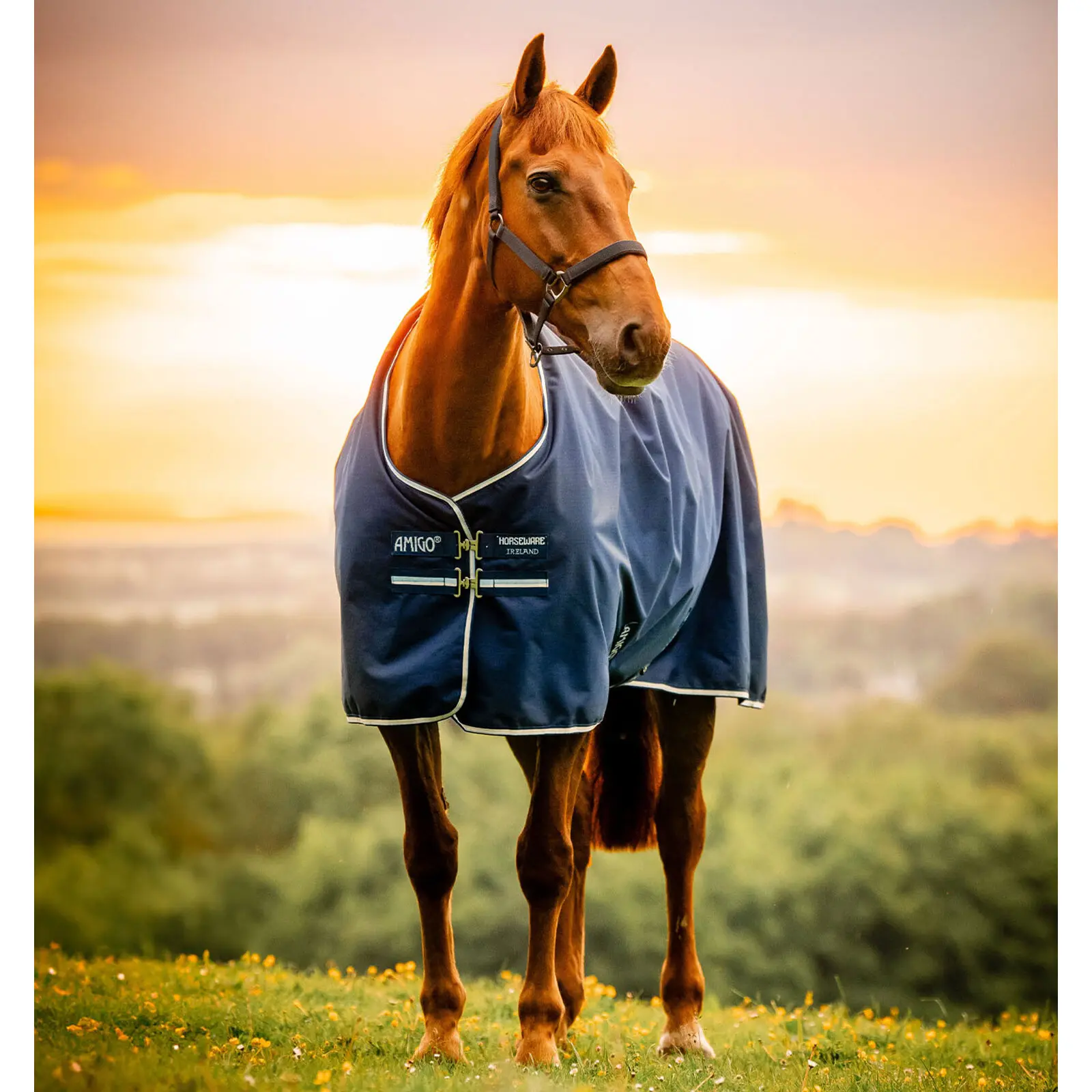 Coperta da paddock per cavalli Horseware Amigo Ripstop 900D 0g
