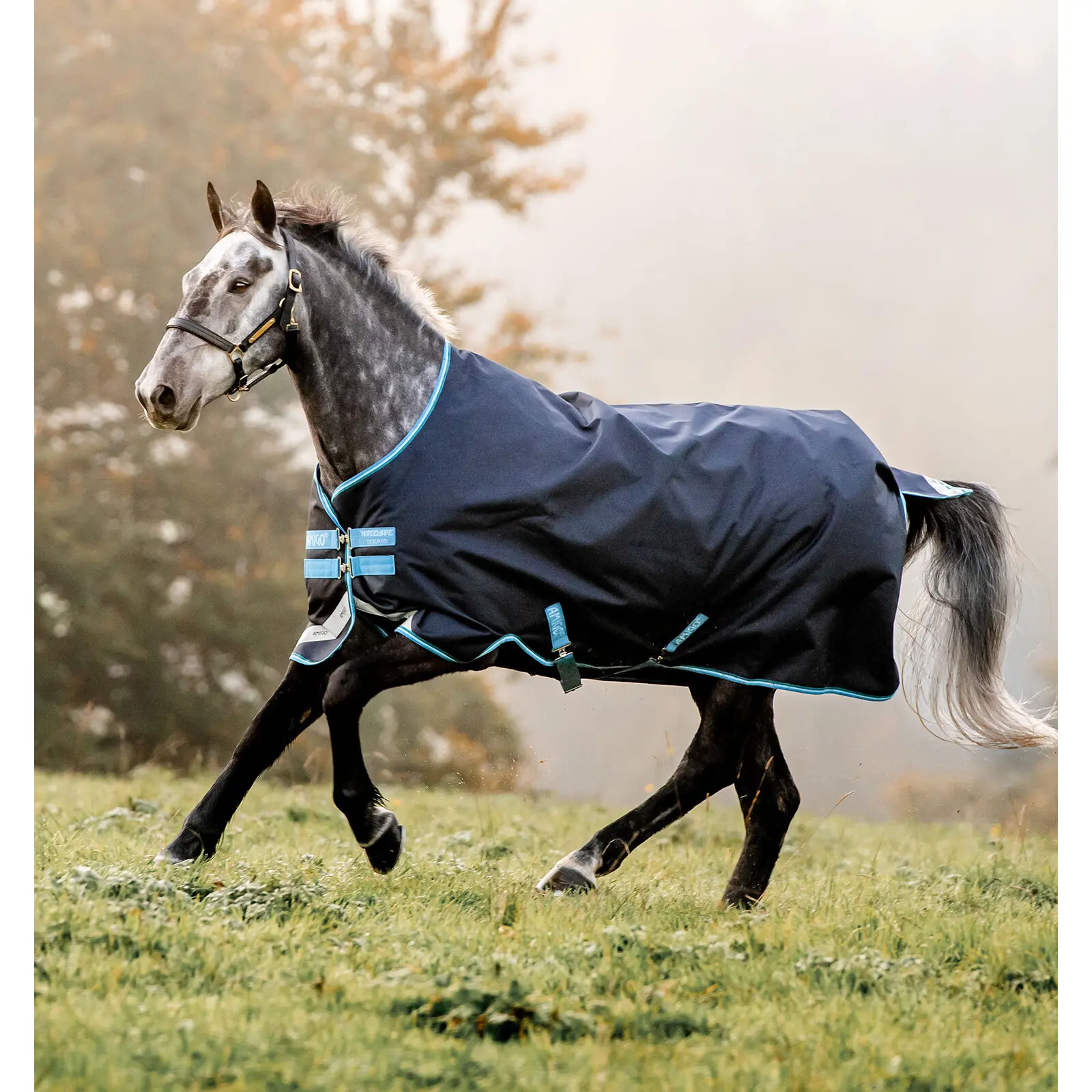 Coperta da esterno per cavalli Horseware Amigo Bravo 12 Turnout 50g