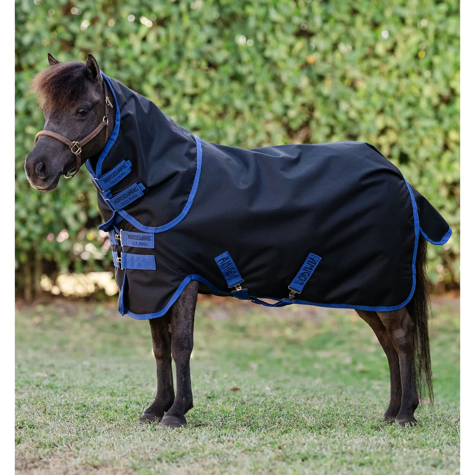 Coperta per pony da esterno Horseware Amigo Ripstop 900D Turnout 200g
