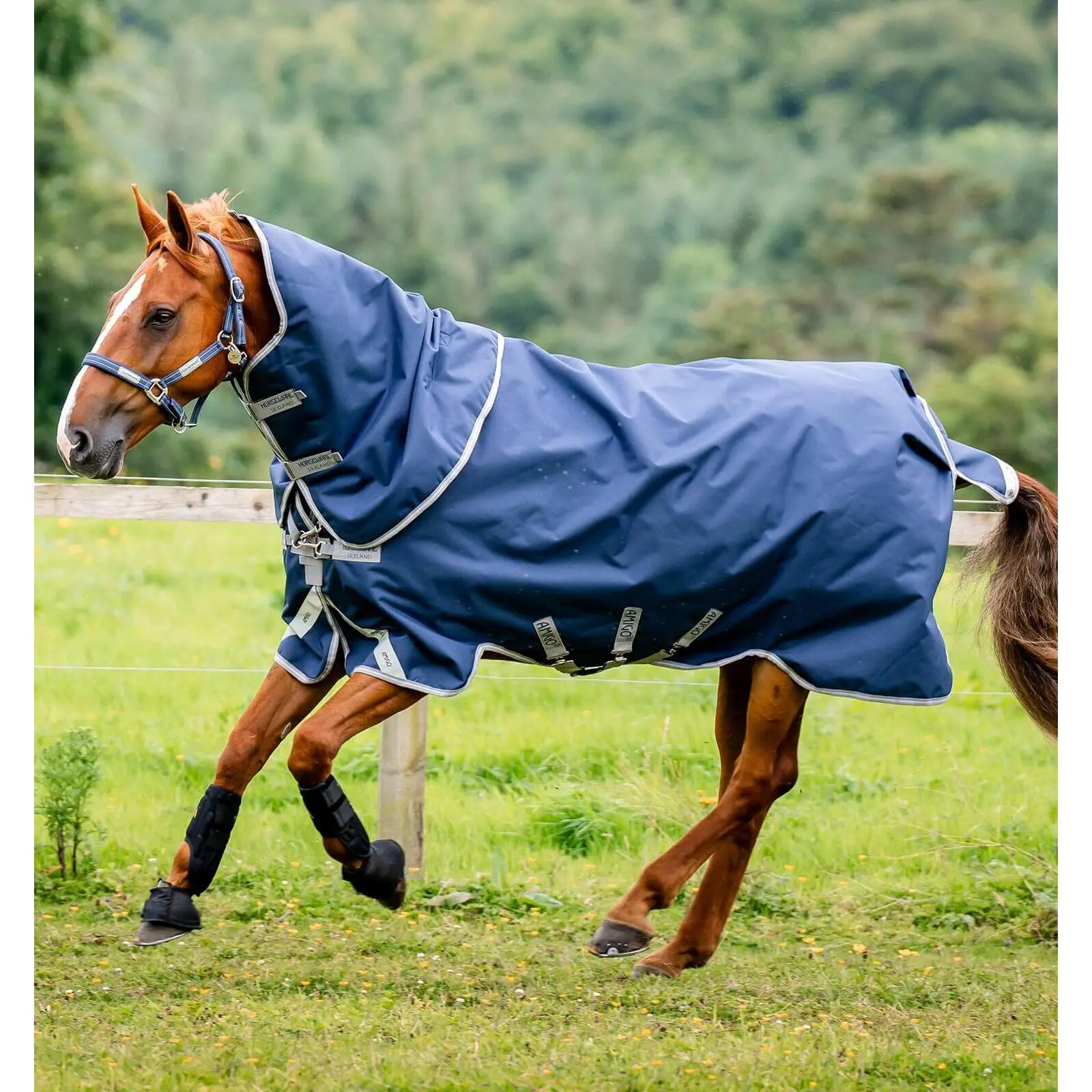 Coperta da paddock per cavalli con copricollo Horseware Amigo 1200D Plus Turnout 50g + 100g + 200g