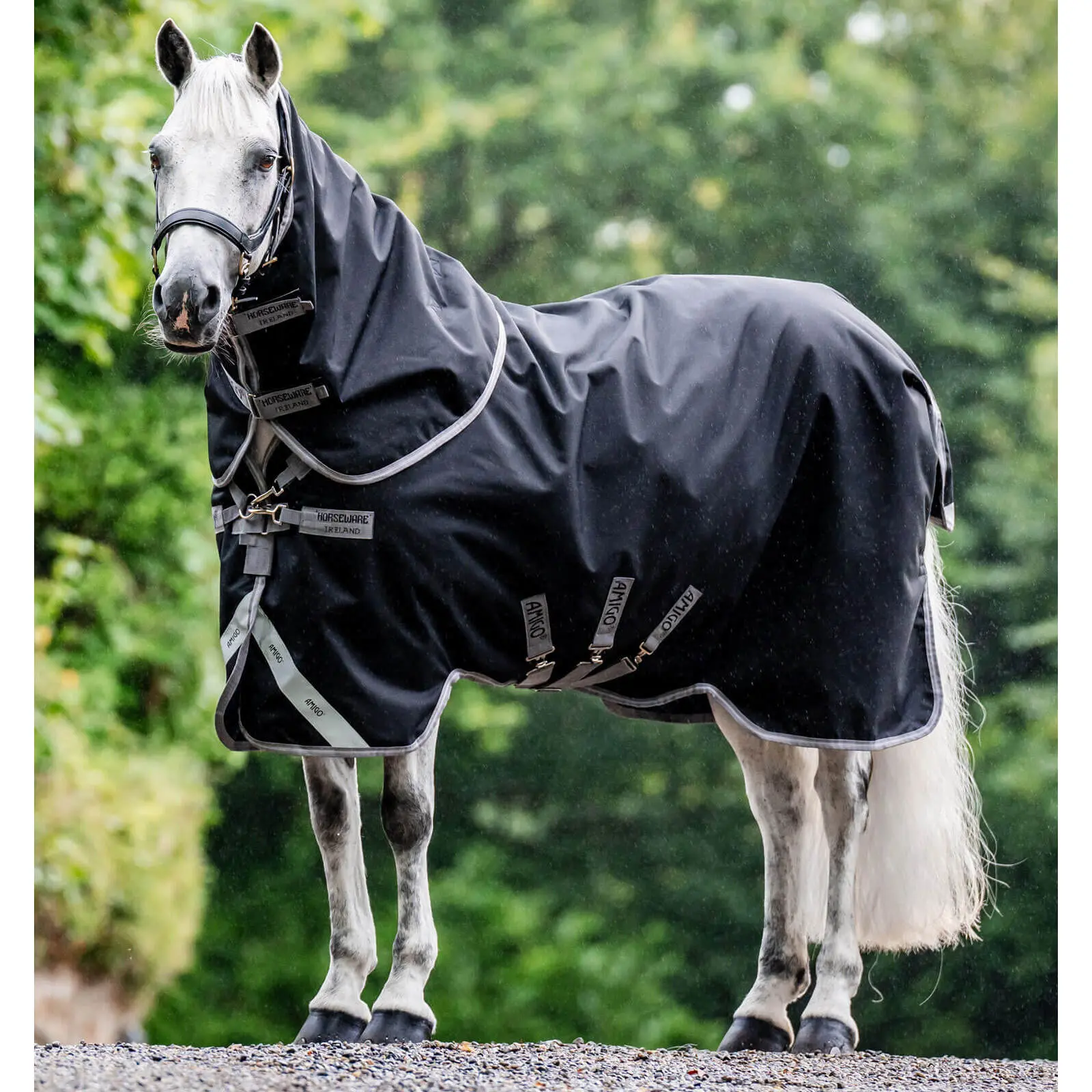 Coperta da paddock per cavalli con copricollo Horseware Amigo 1200D Plus Turnout 50g + 100g + 200g