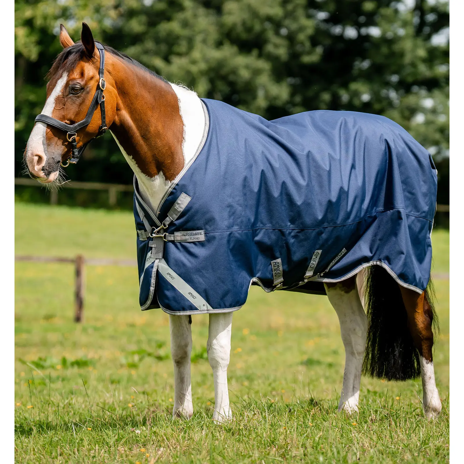 Coperta da paddock per cavalli Horseware Amigo 1200D XL 50g