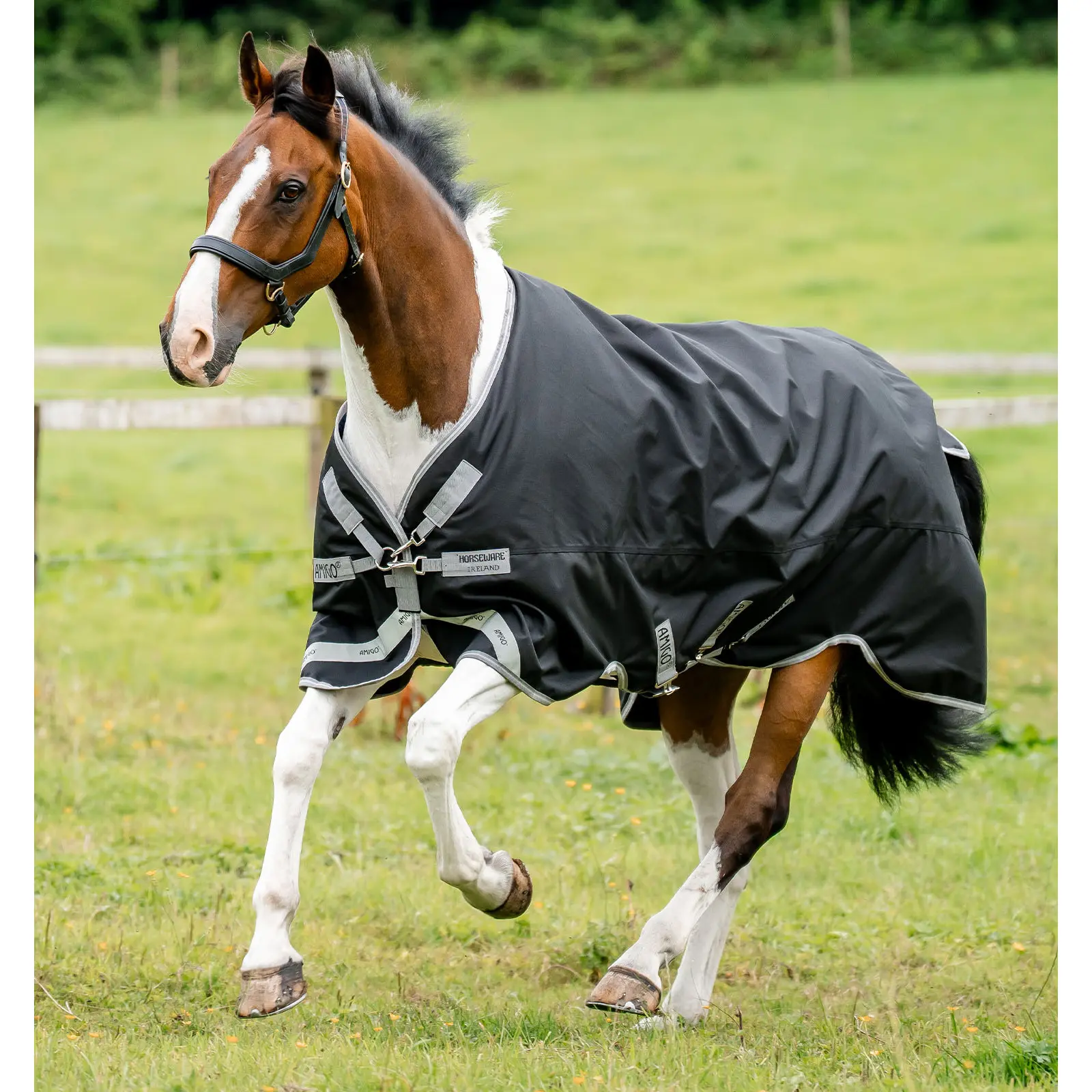 Outdoor-Decke für Pferde Horseware Amigo 1200D XL 50g