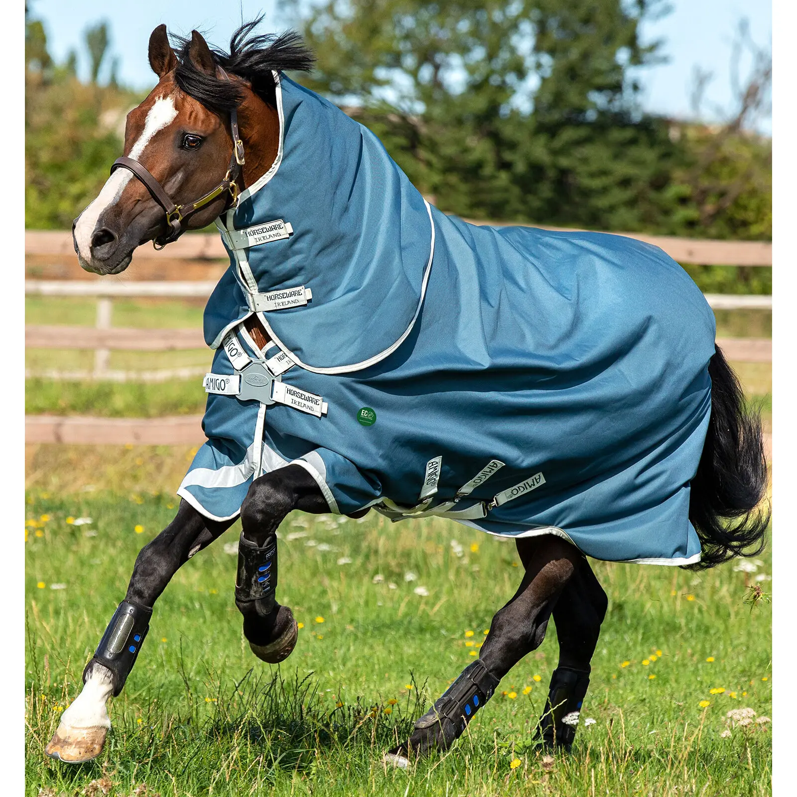 Coperta da esterno con copricollo per cavalli Horseware Amigo AmEco 100g