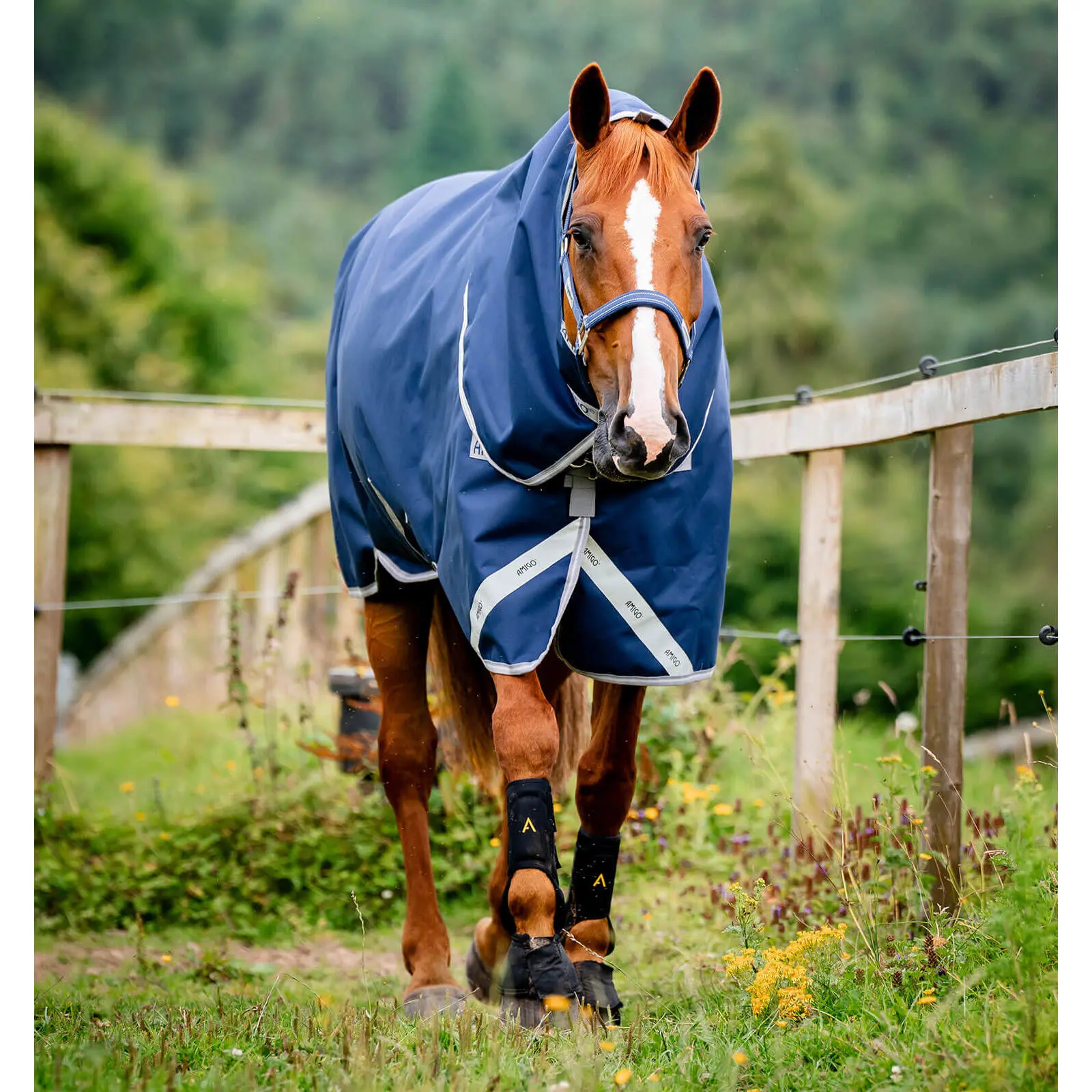 Coperta da paddock per cavalli con copricollo Horseware Amigo 1200D Plus Turnout 250g
