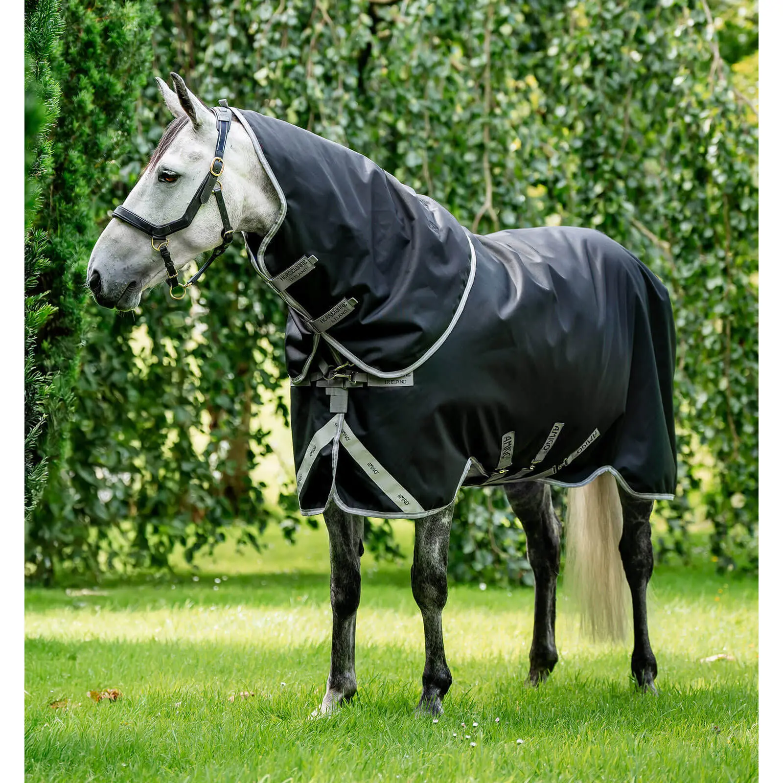 Coperta da paddock per cavalli con copricollo Horseware Amigo 1200D Plus Turnout 250g